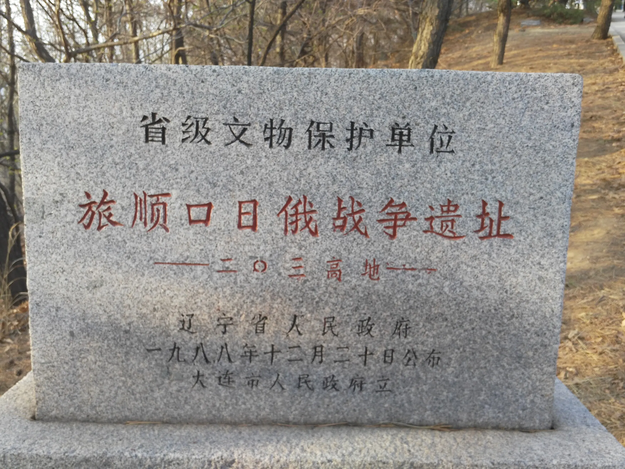 タイムラプス撮影中