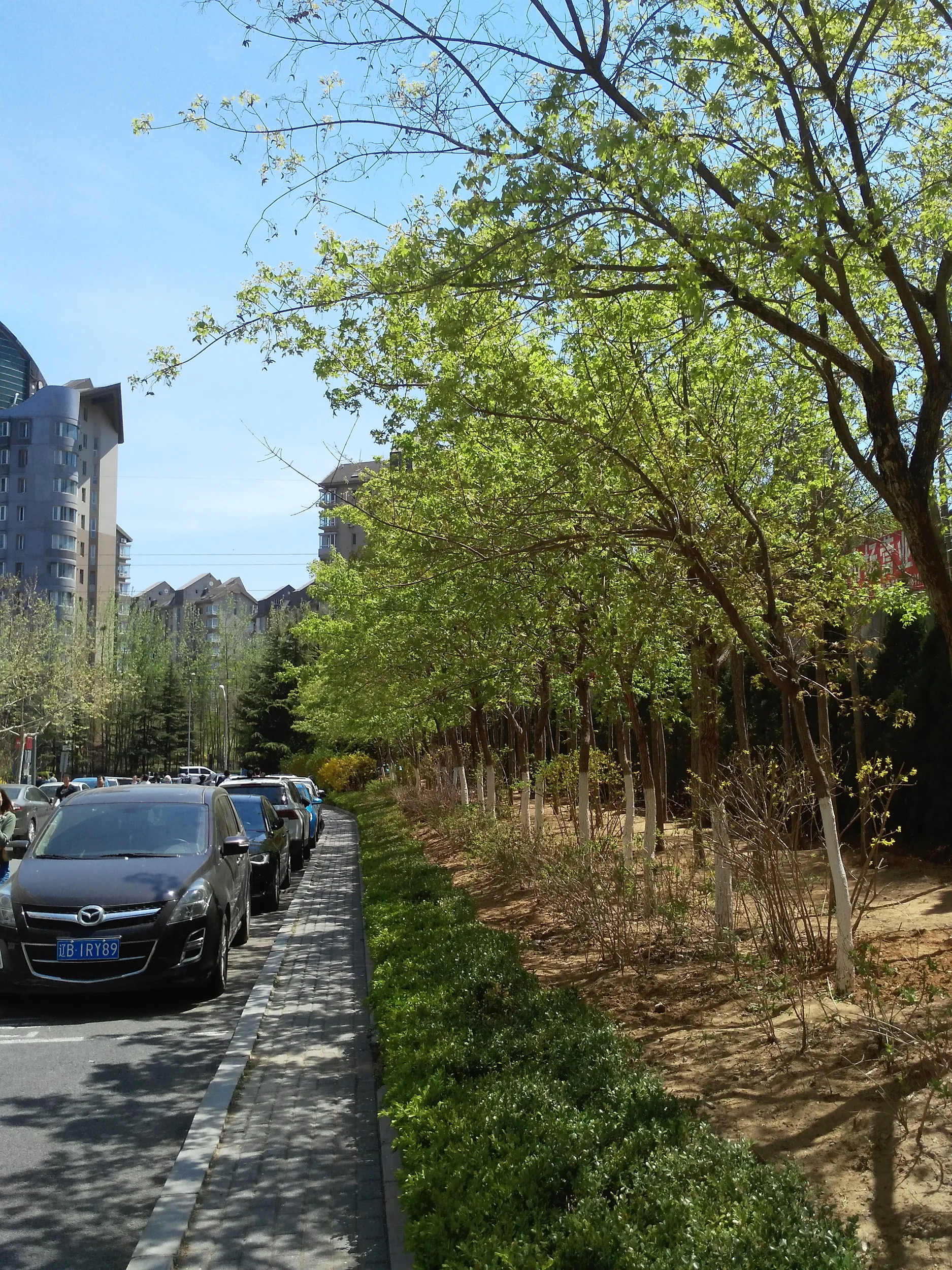 職場付近の散歩