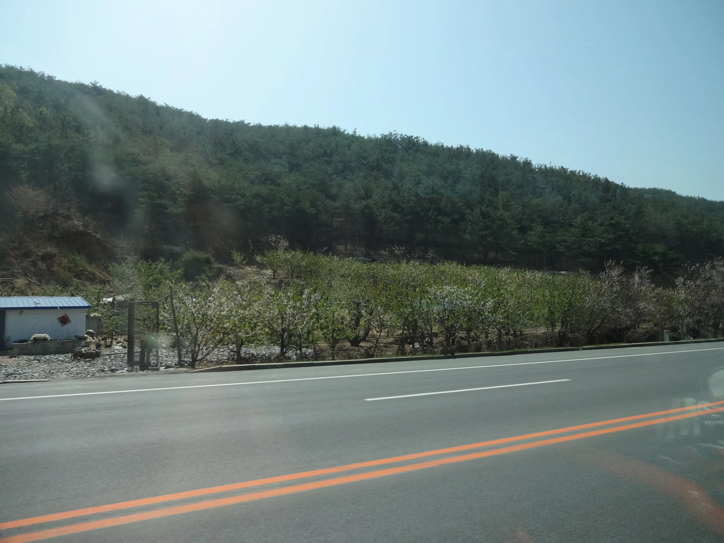 202路の路面電車（軽軌）