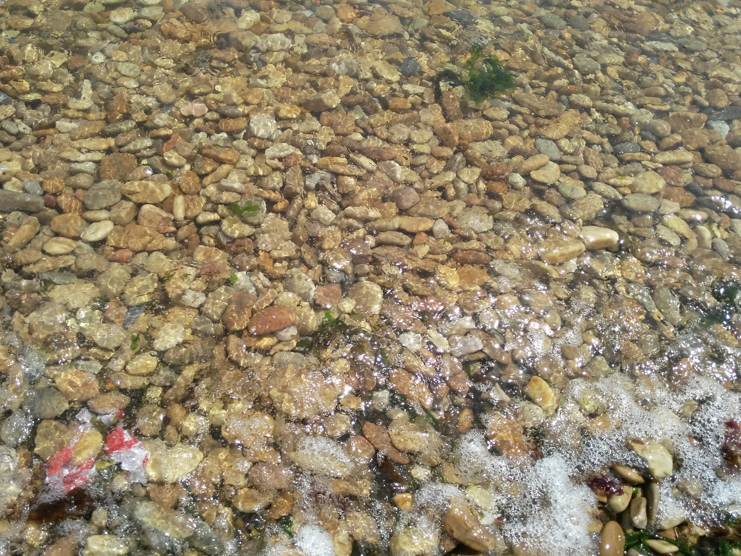 透明度の高い海水