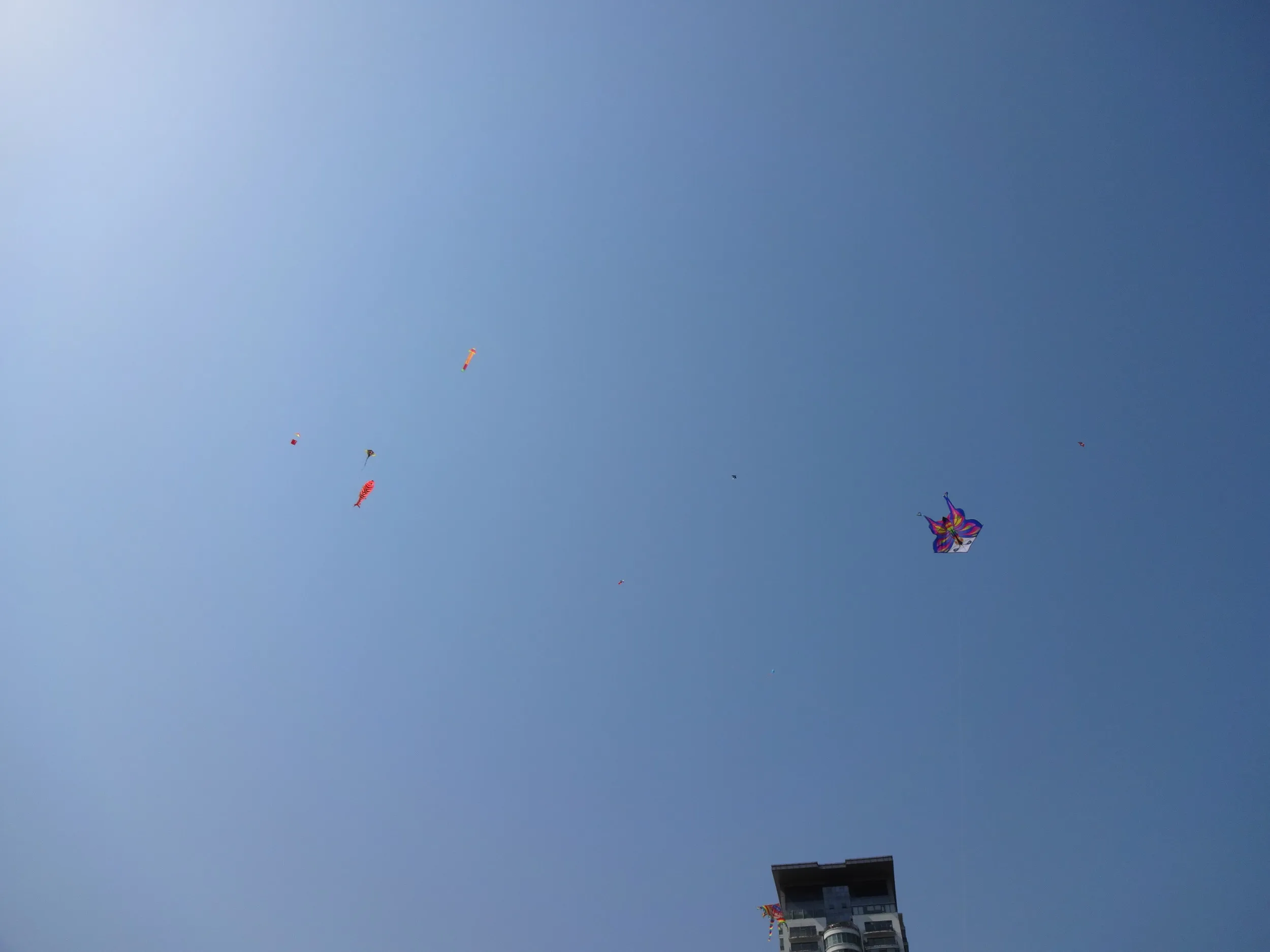 凧揚げをする人