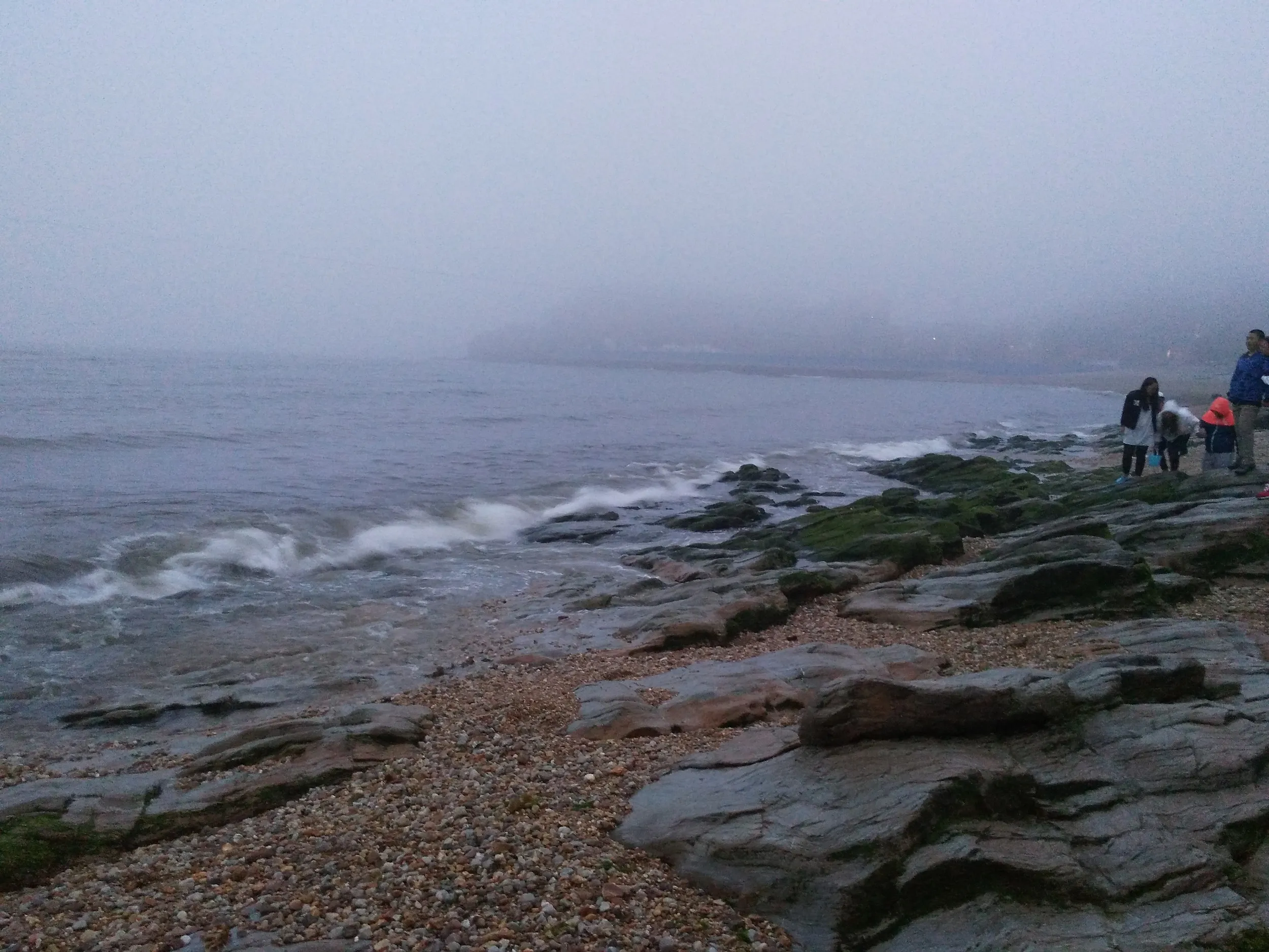 星海公園での様子