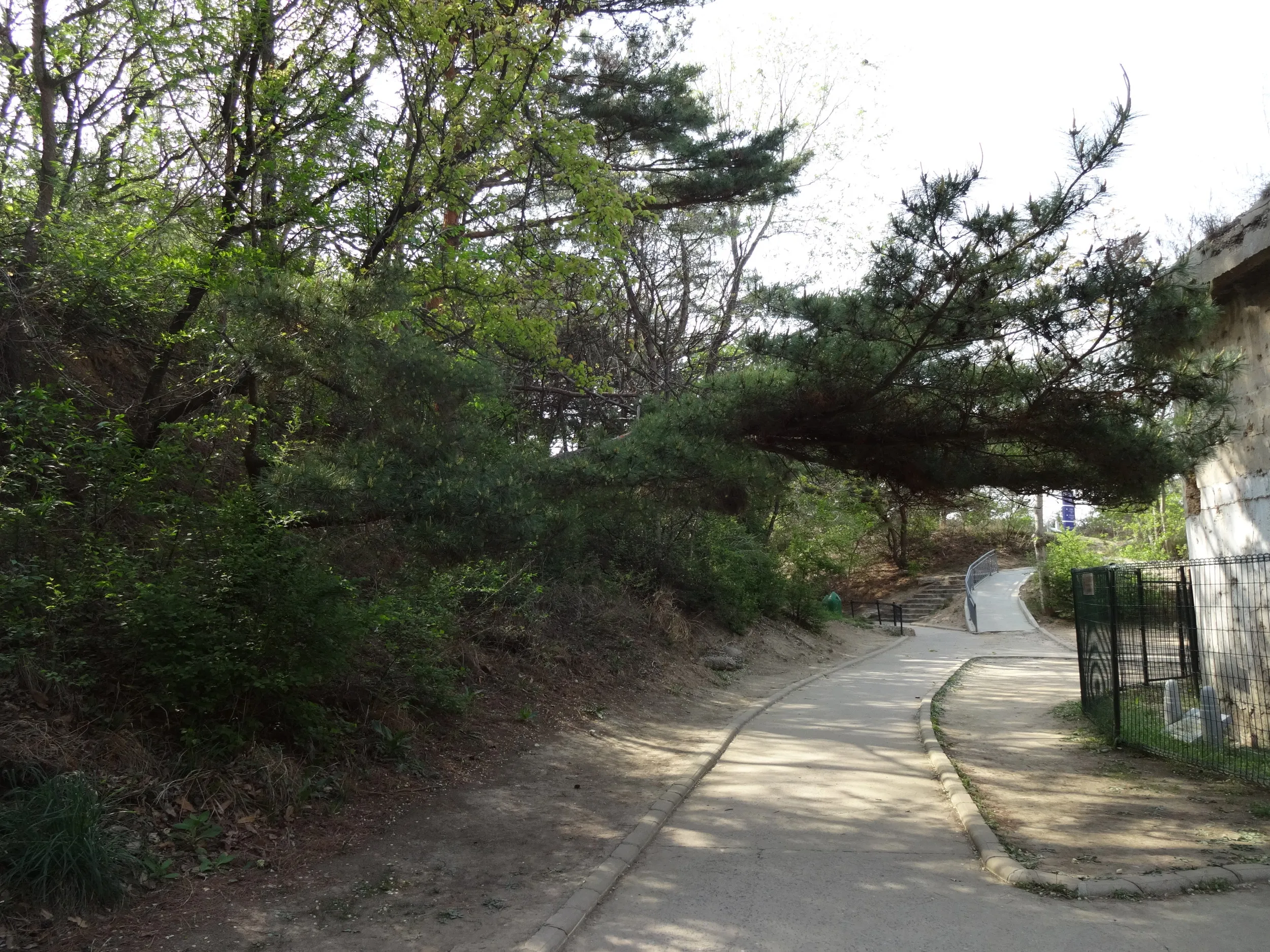 自然の石のような外壁