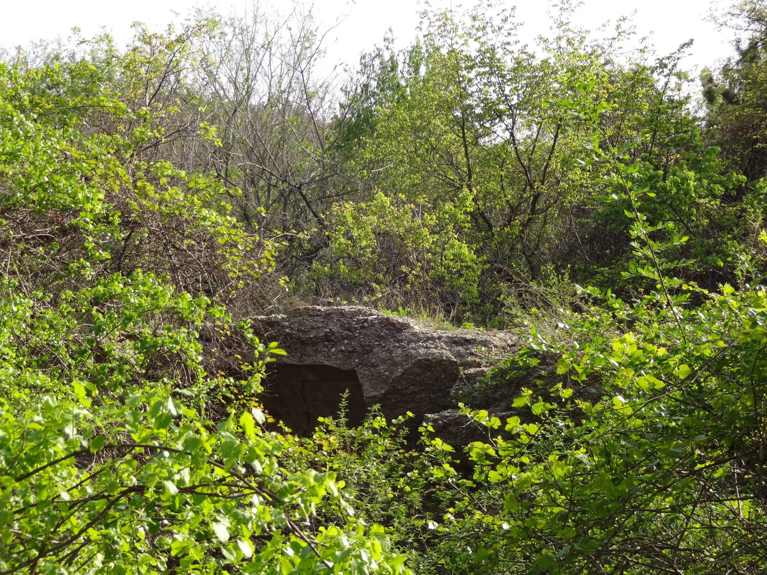 自然の石のような外壁