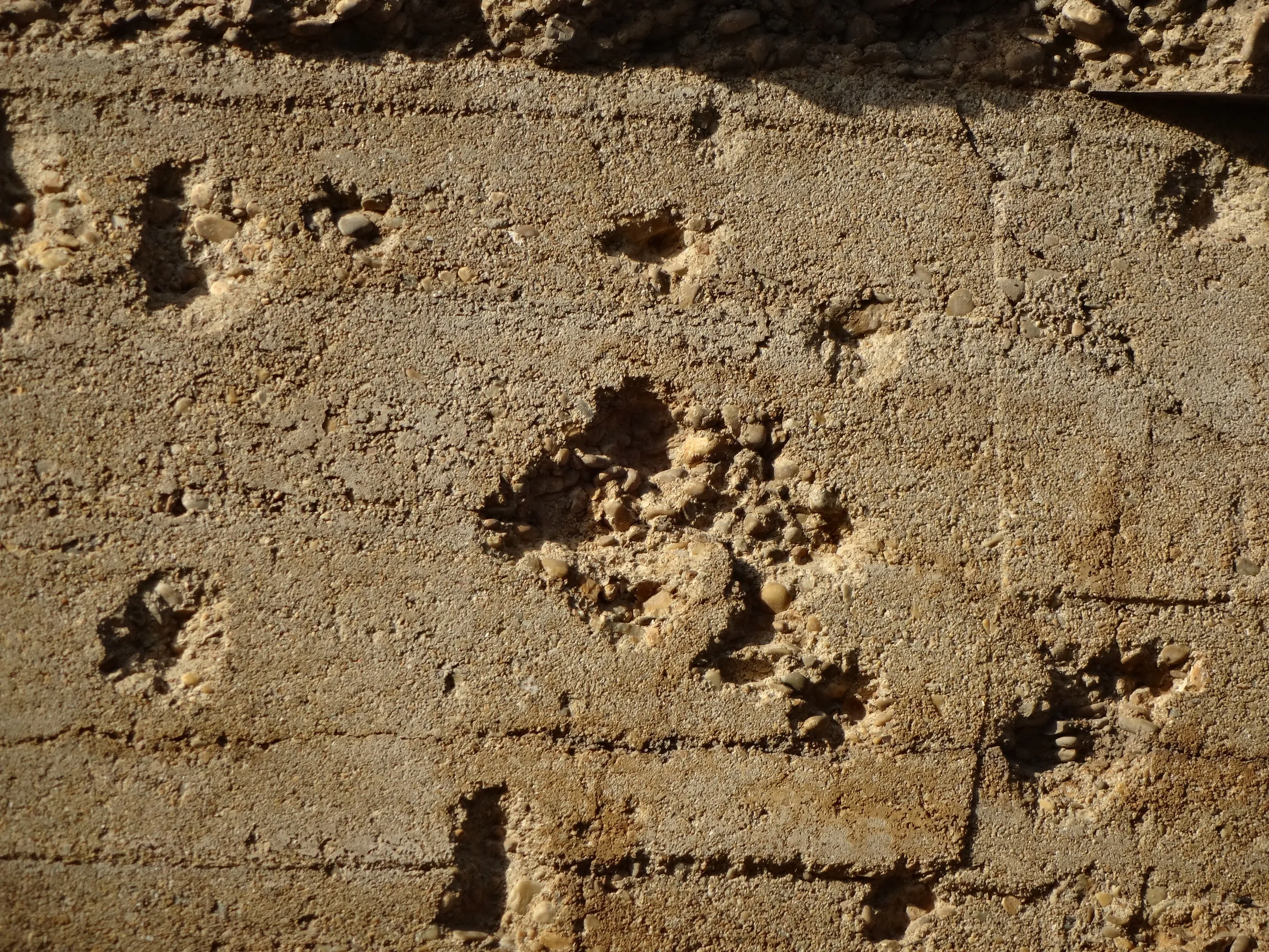 銃痕が目立つ外壁