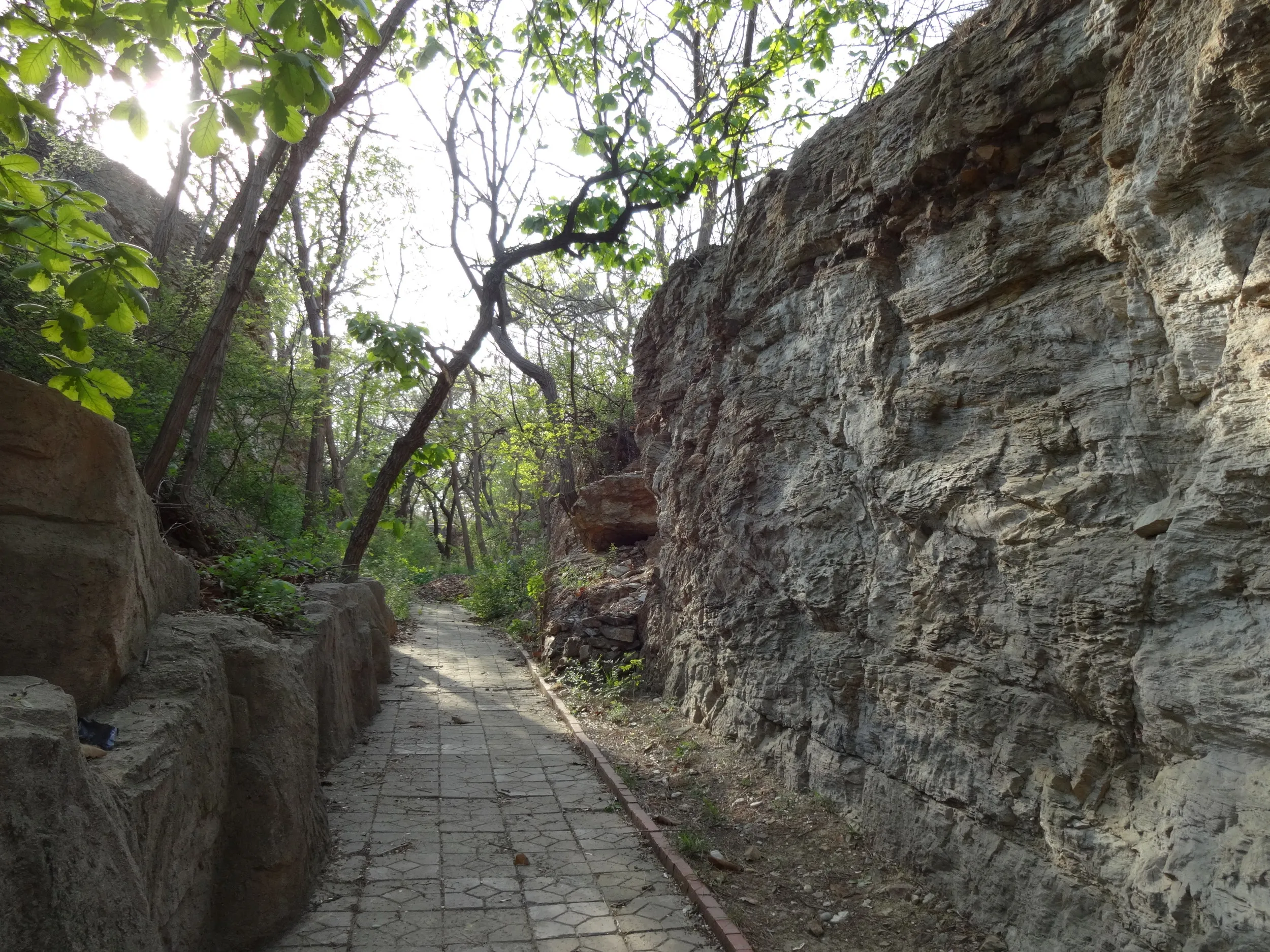 落ちているゴミ