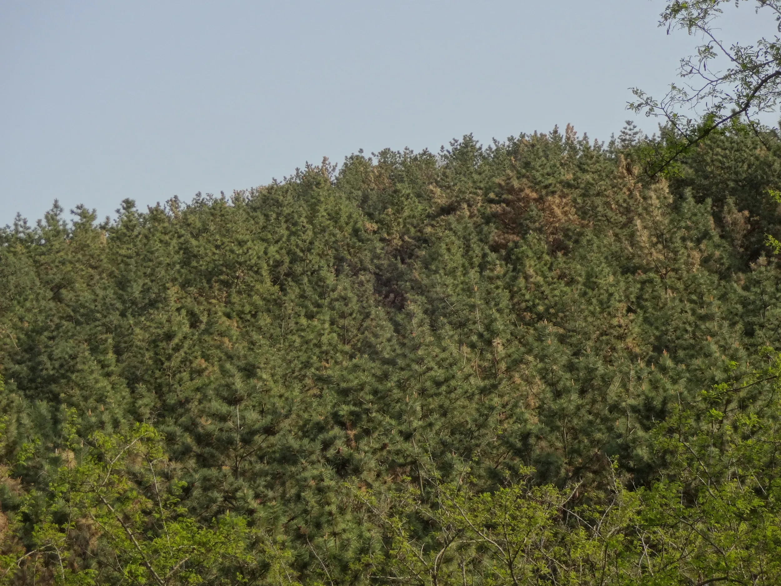 閉館していた陳列館