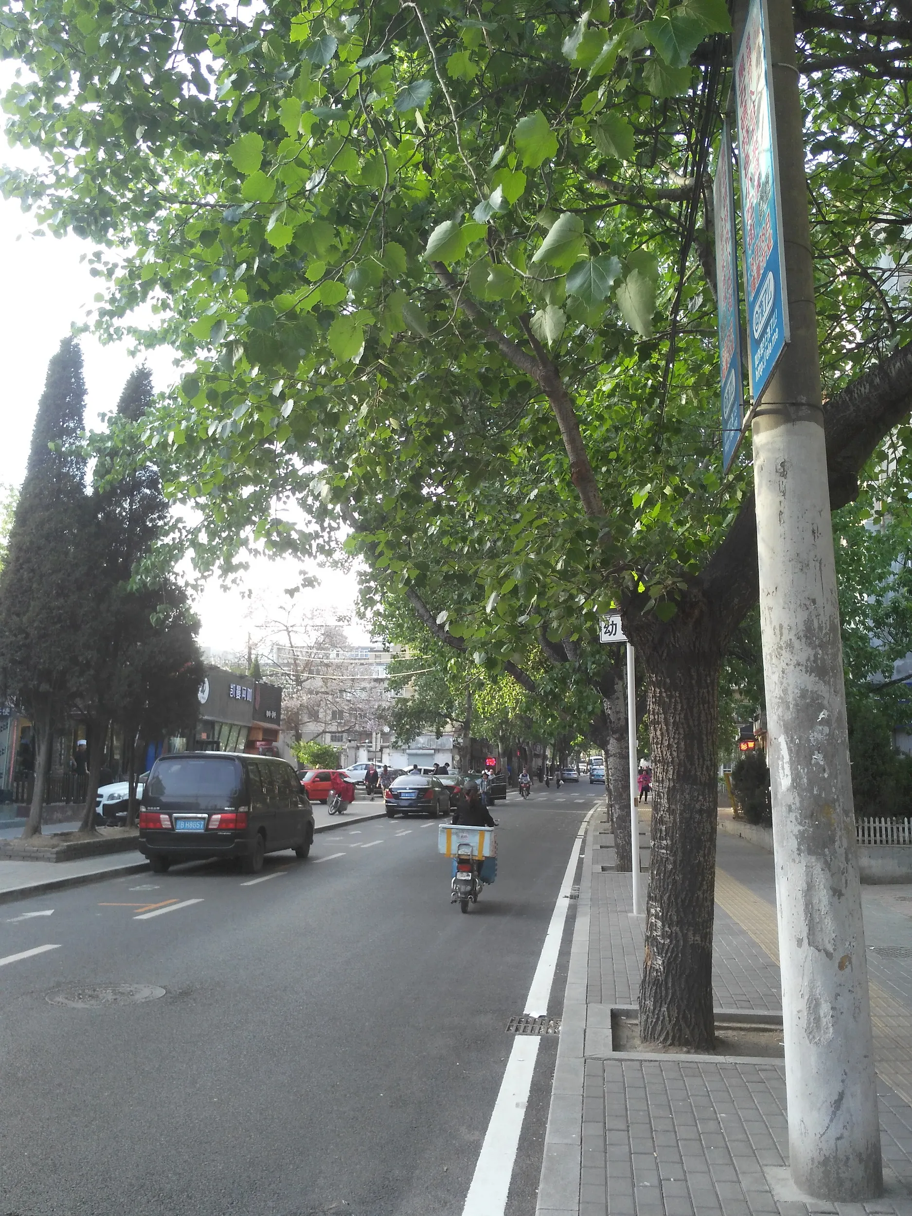 黒石礁付近の散歩