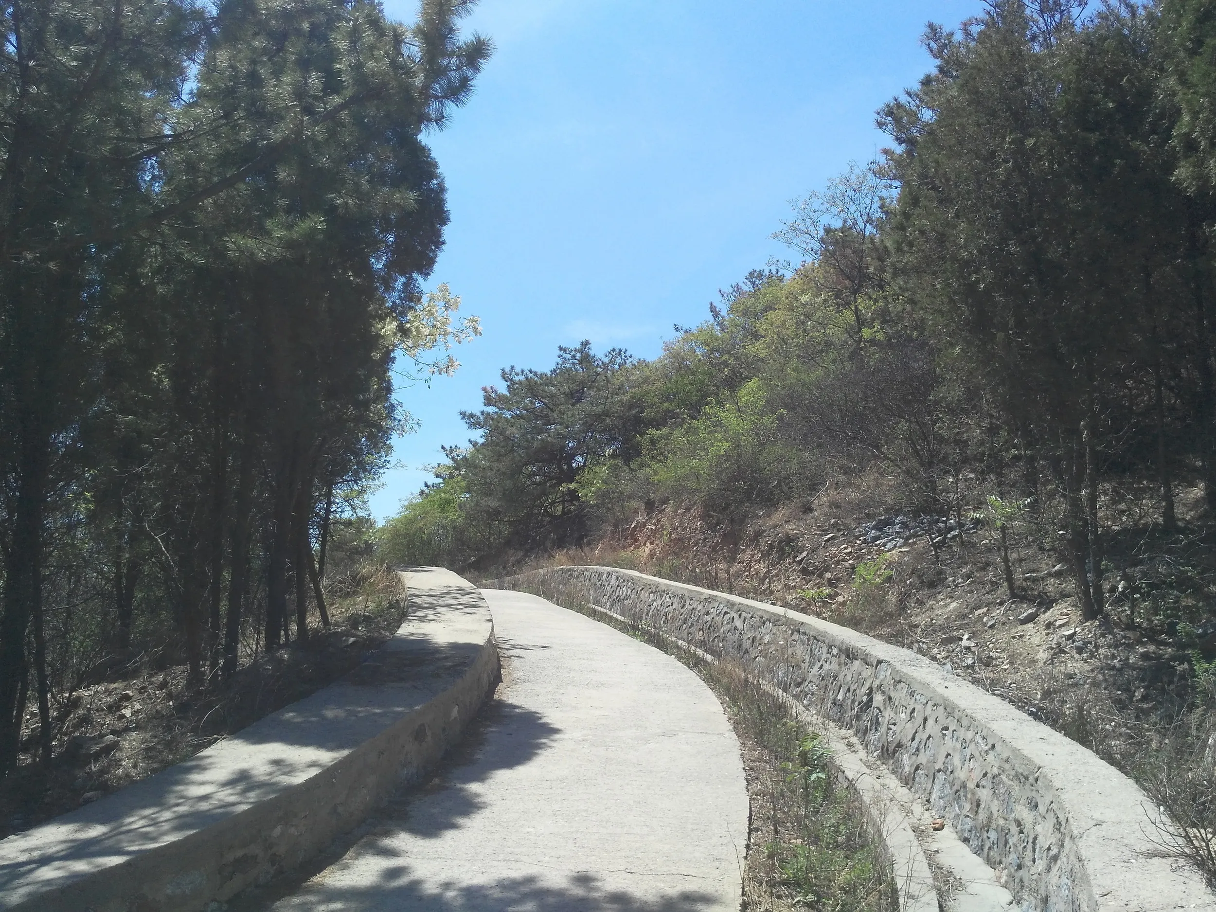 裏山からの景色