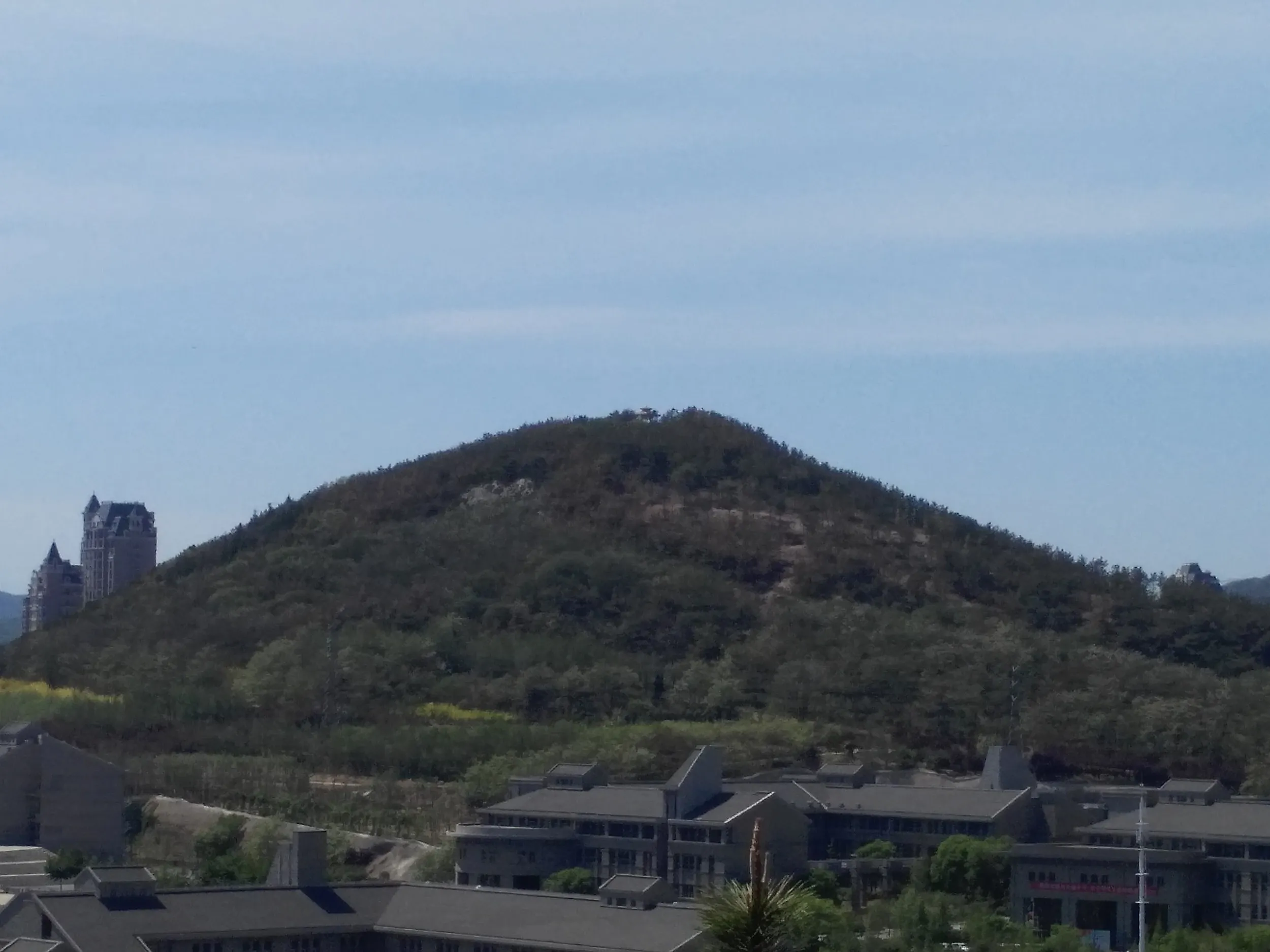 裏山からの景色