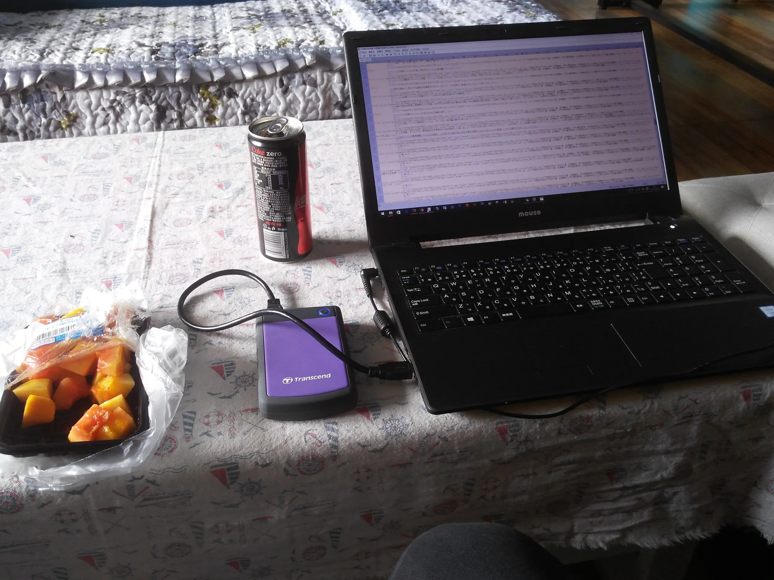 ユースホステルで動画編集