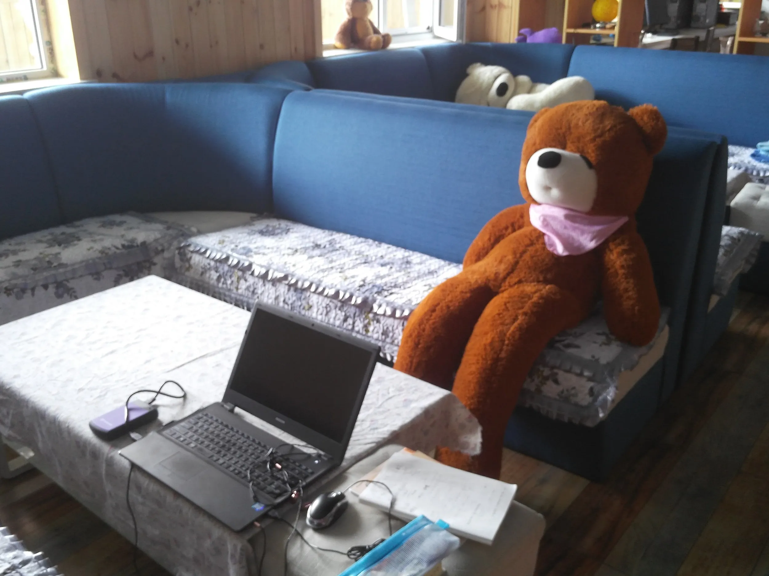 くまさんと向かい合って動画編集