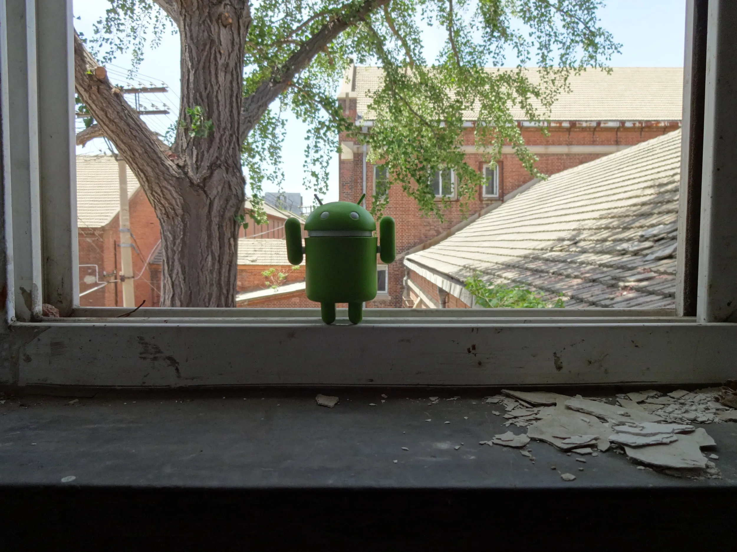 校舎内でドロイド君