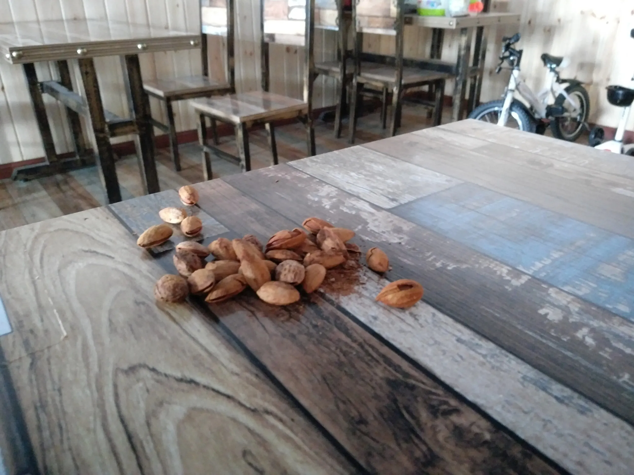 アーモンドを食す