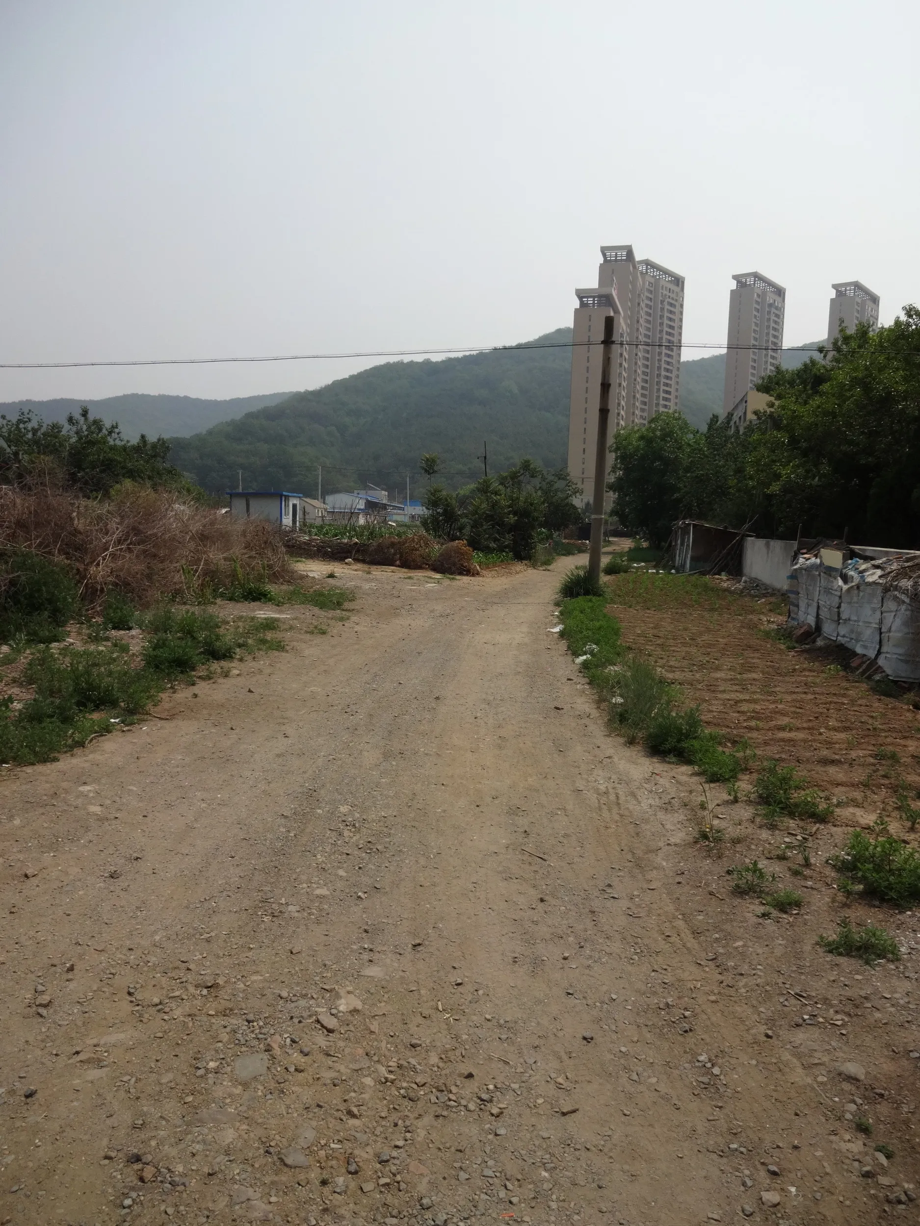 田舎っぽい風景