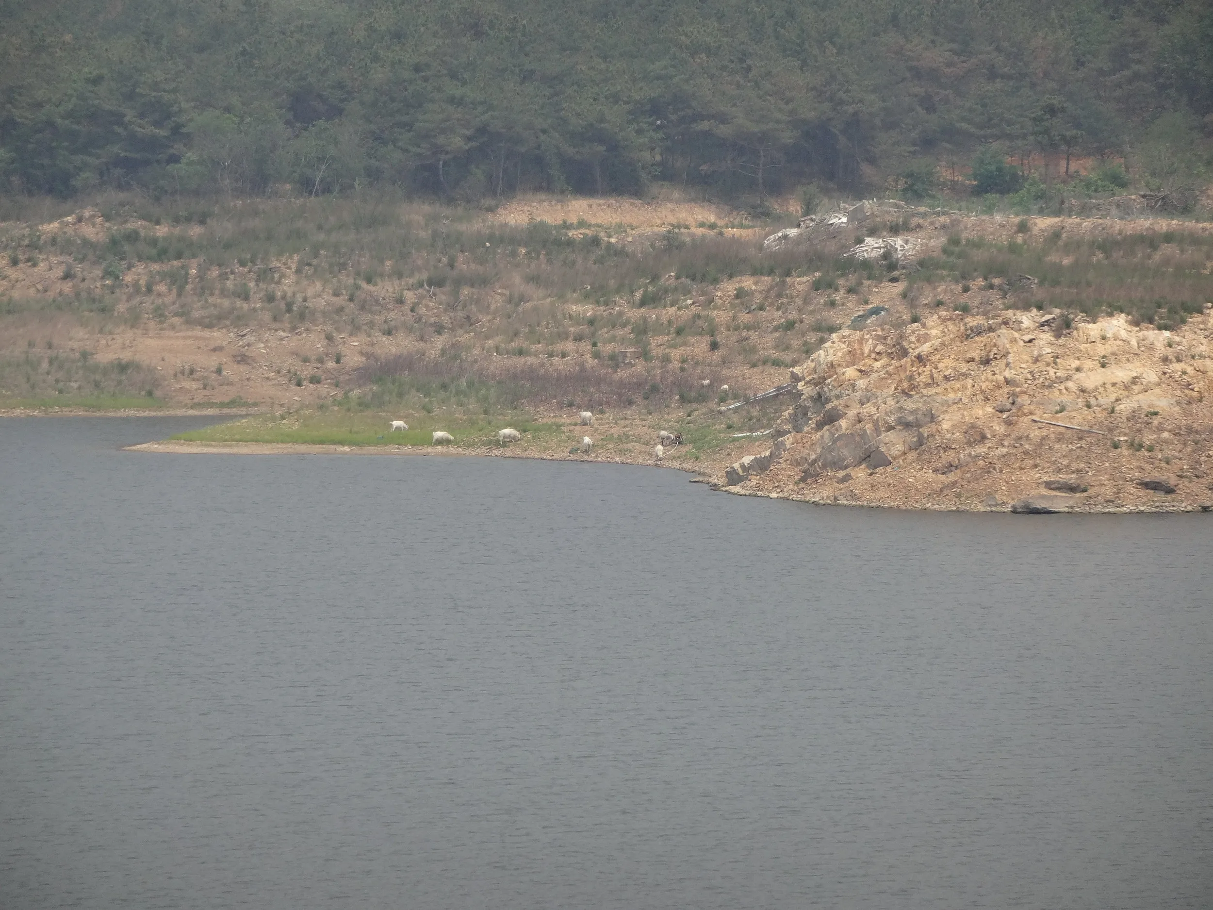 落ち着いた風景