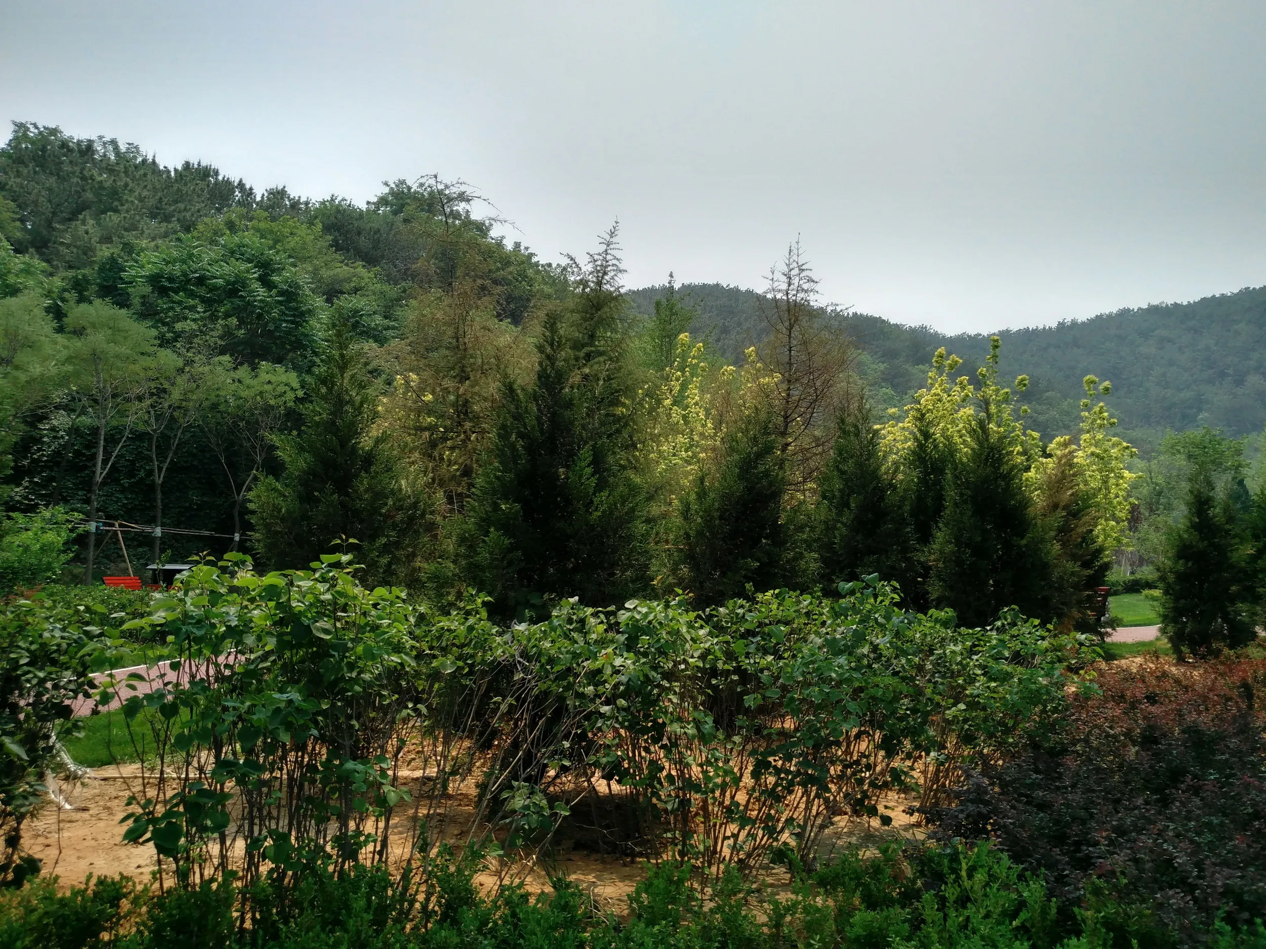 バス停・軽軌付近