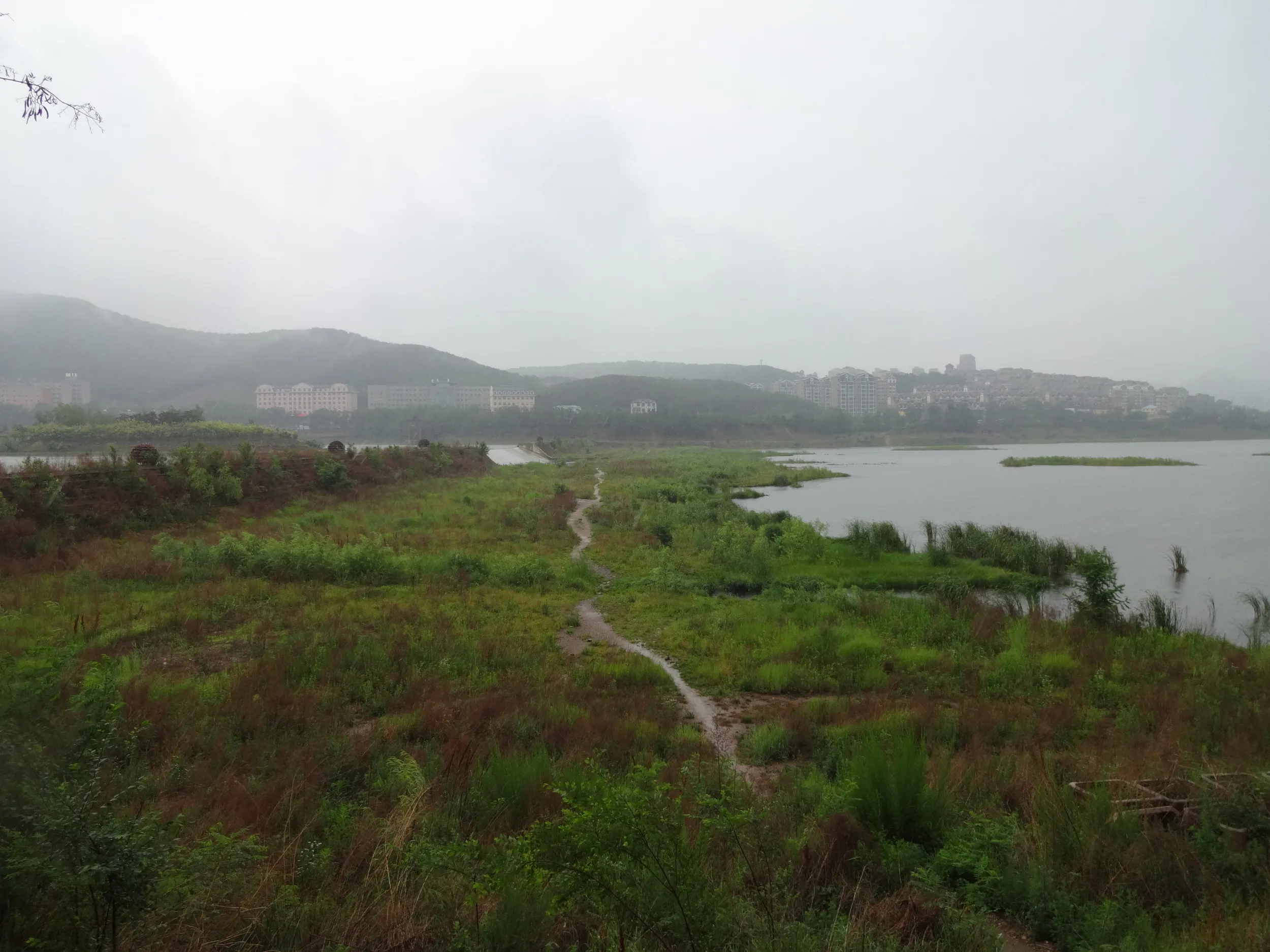 少し高い場所からの風景