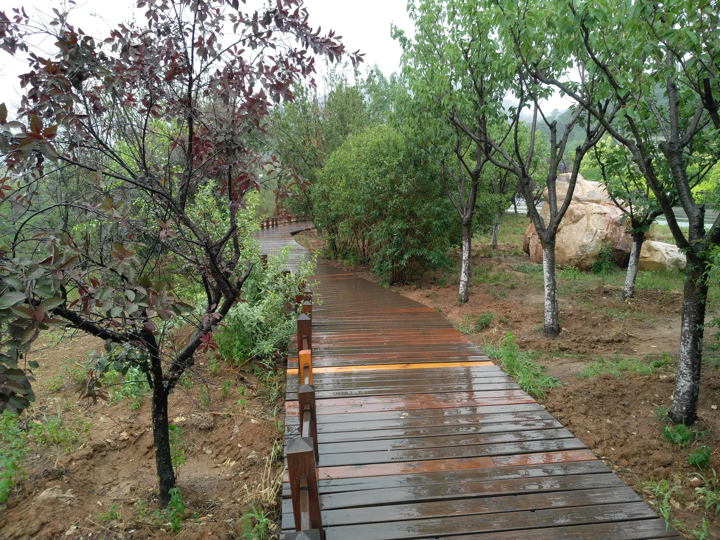 整備された遊歩道