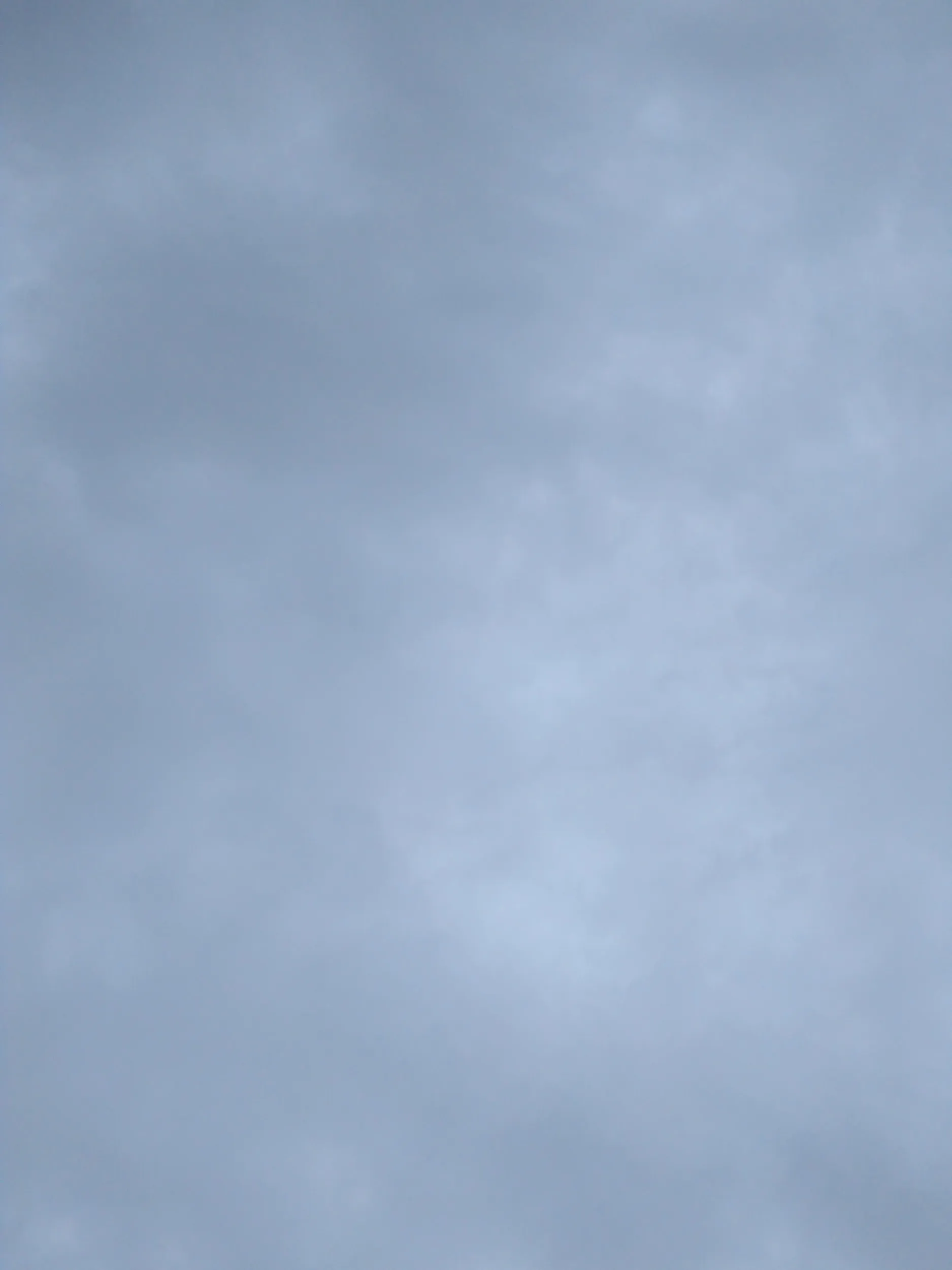 星海公園の海岸で寝転がる