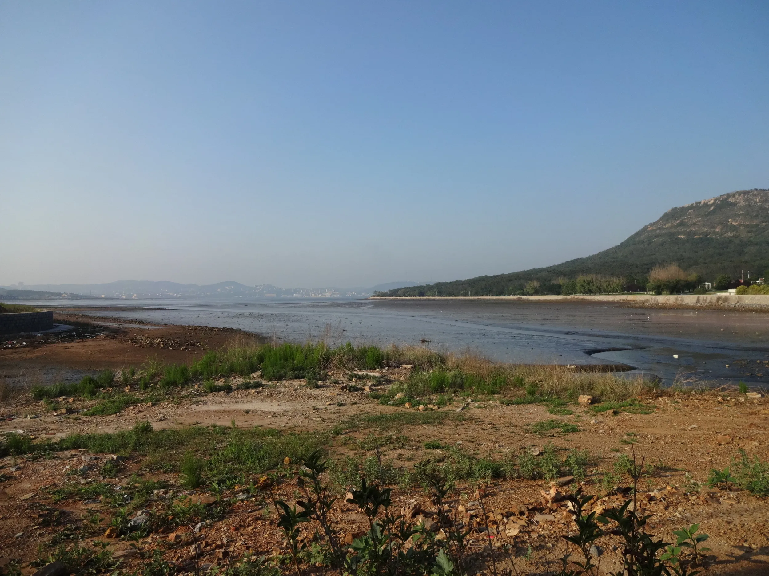 西鶏冠山付近の風景