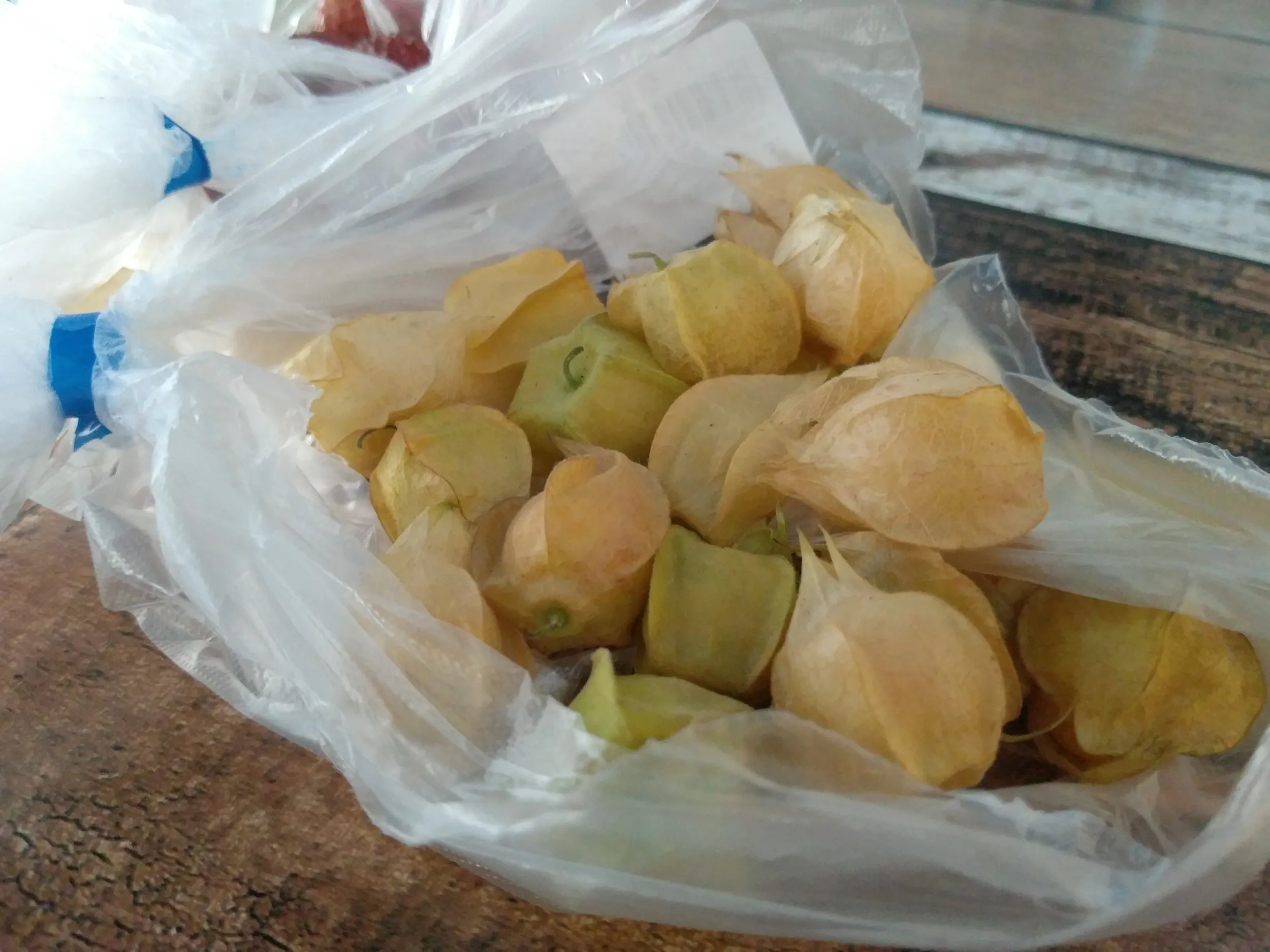 菇娘という果物