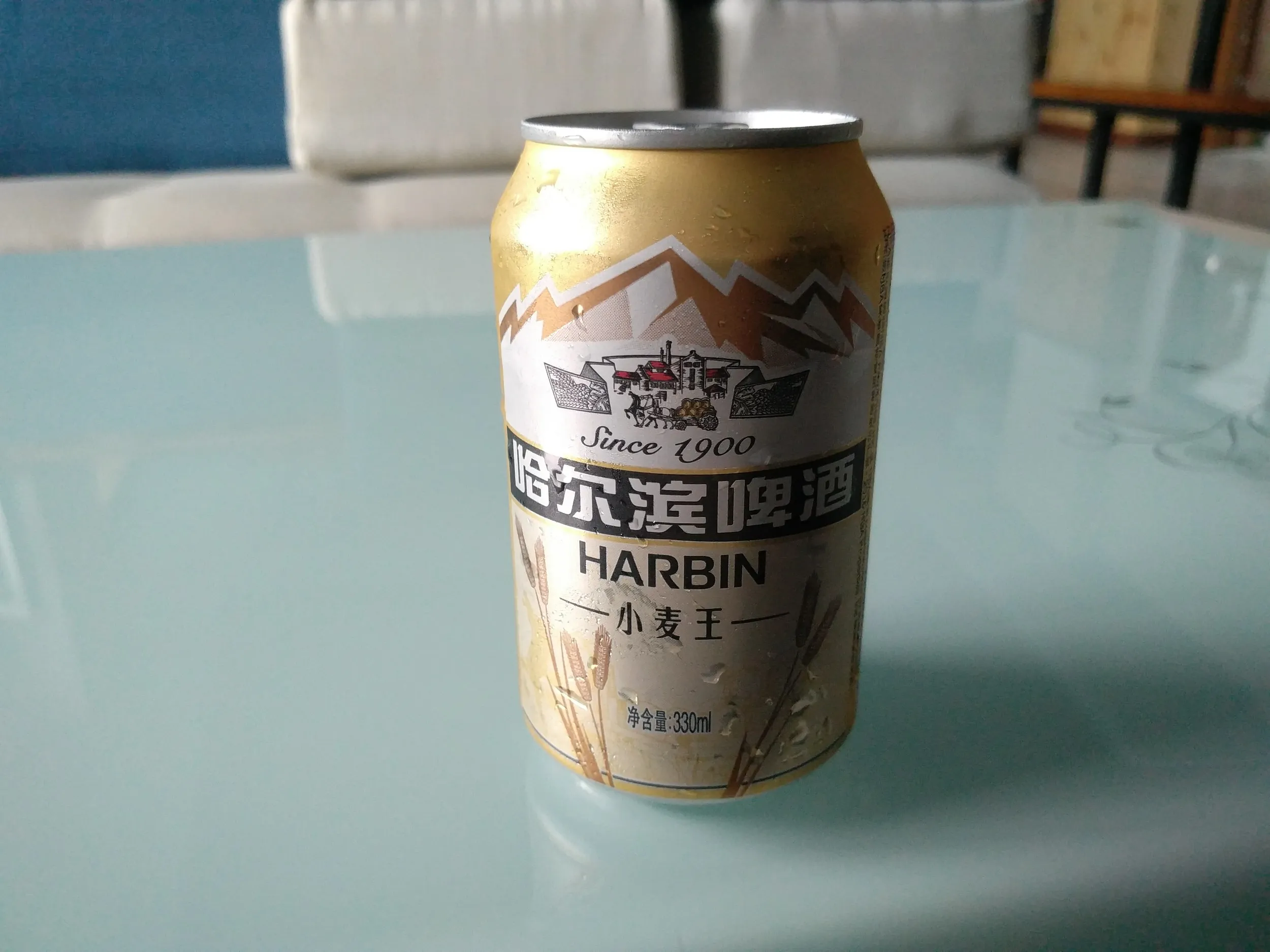 朝からハルビンビール