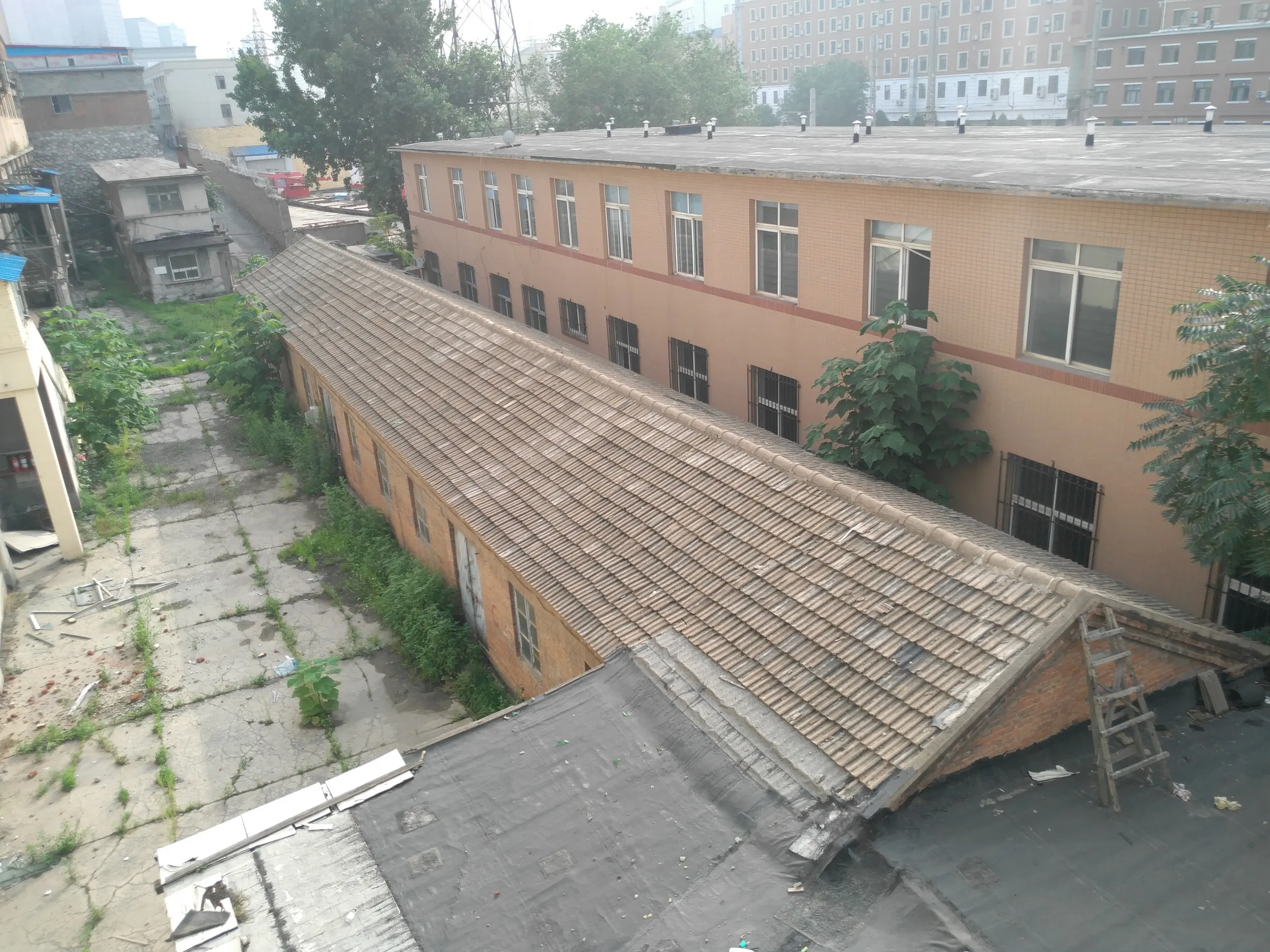 勝利橋周辺の風景