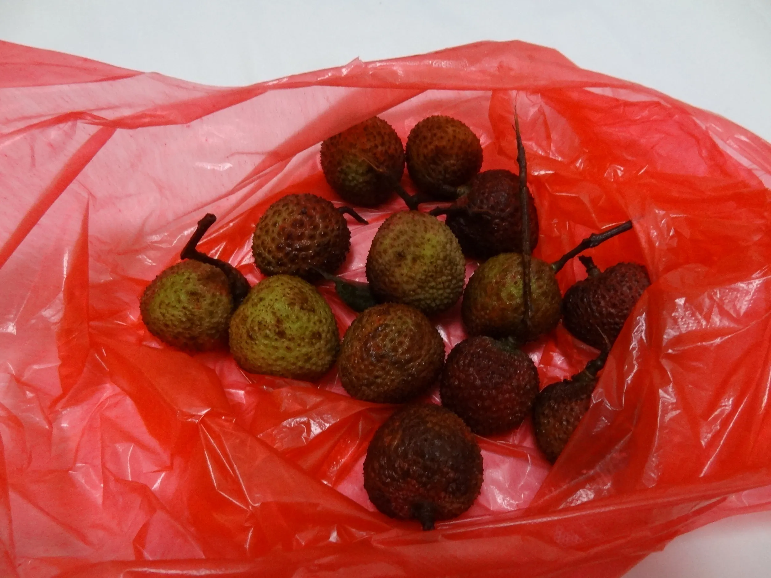 市場で買ったライチ