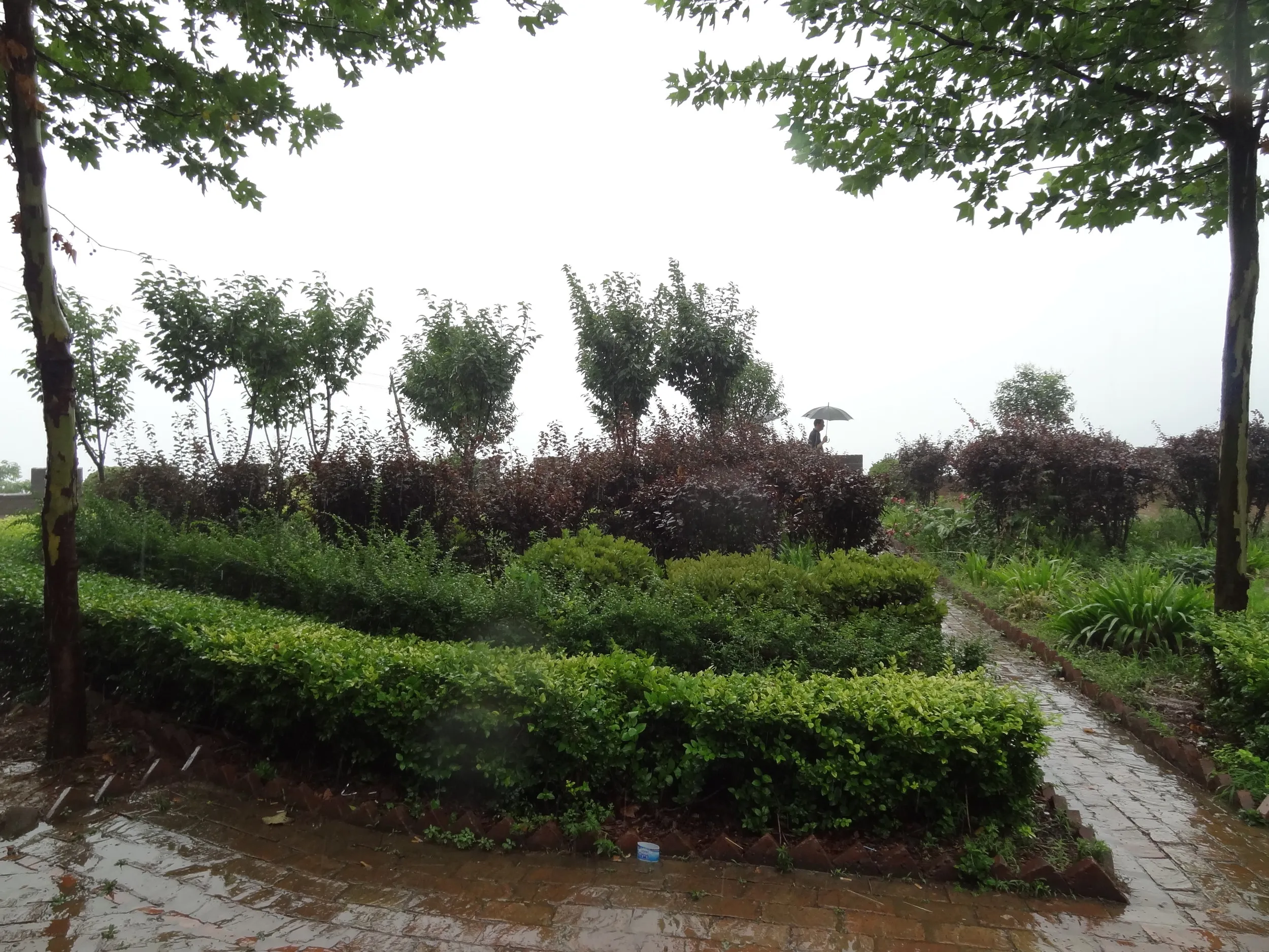 驪山霊泉付近の風景