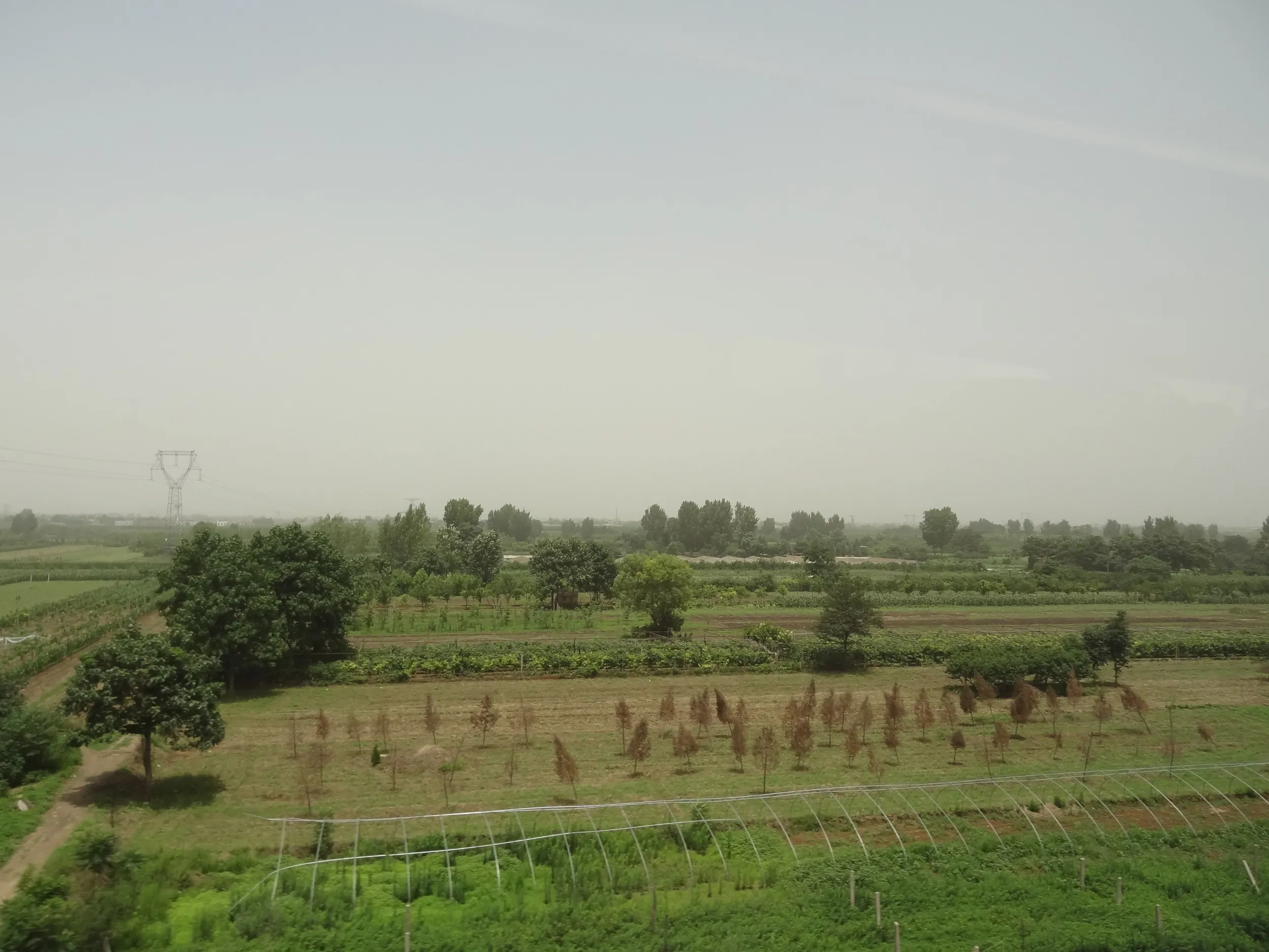 広がる畑の風景