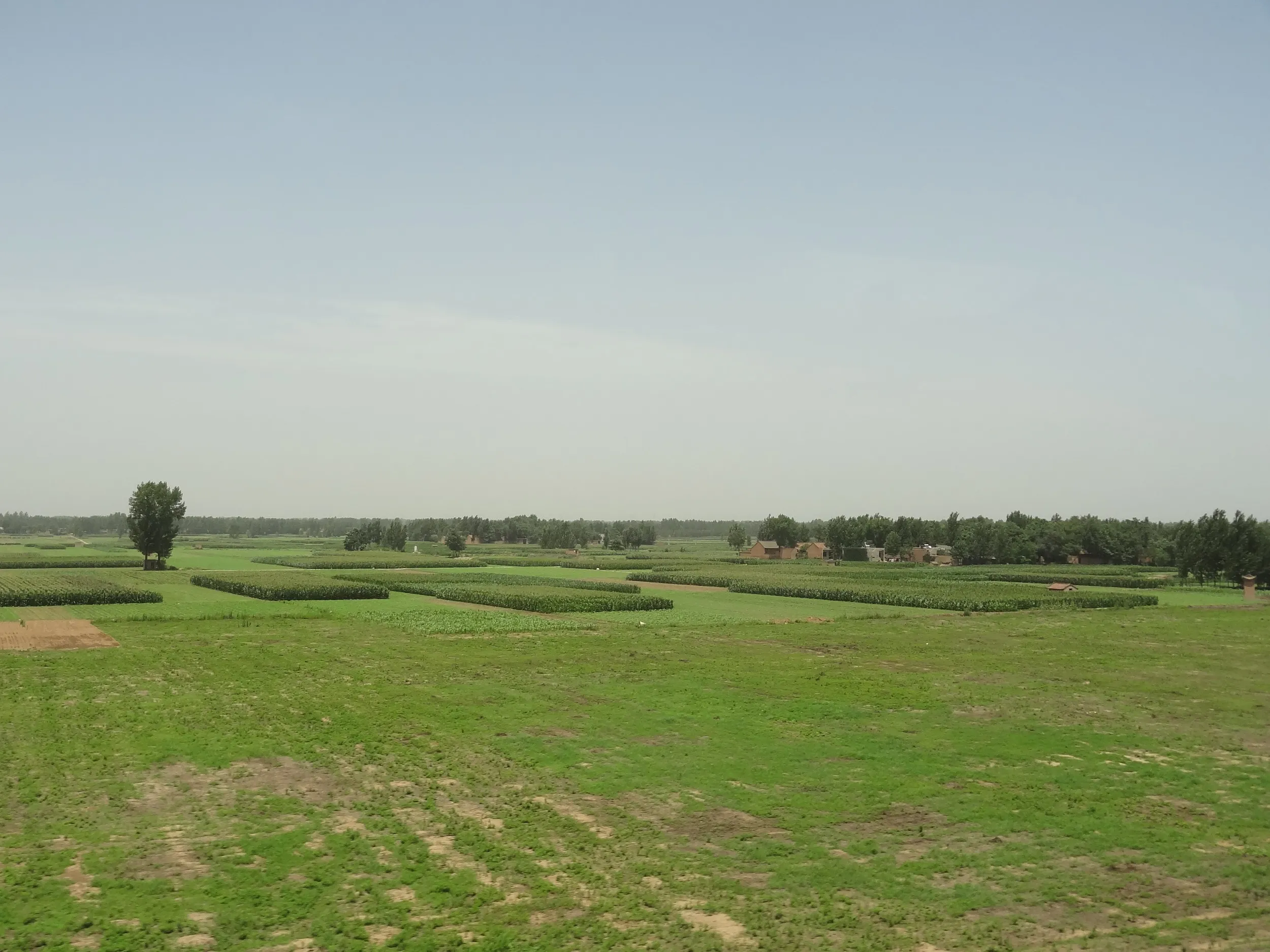 黄土大地に広がる畑