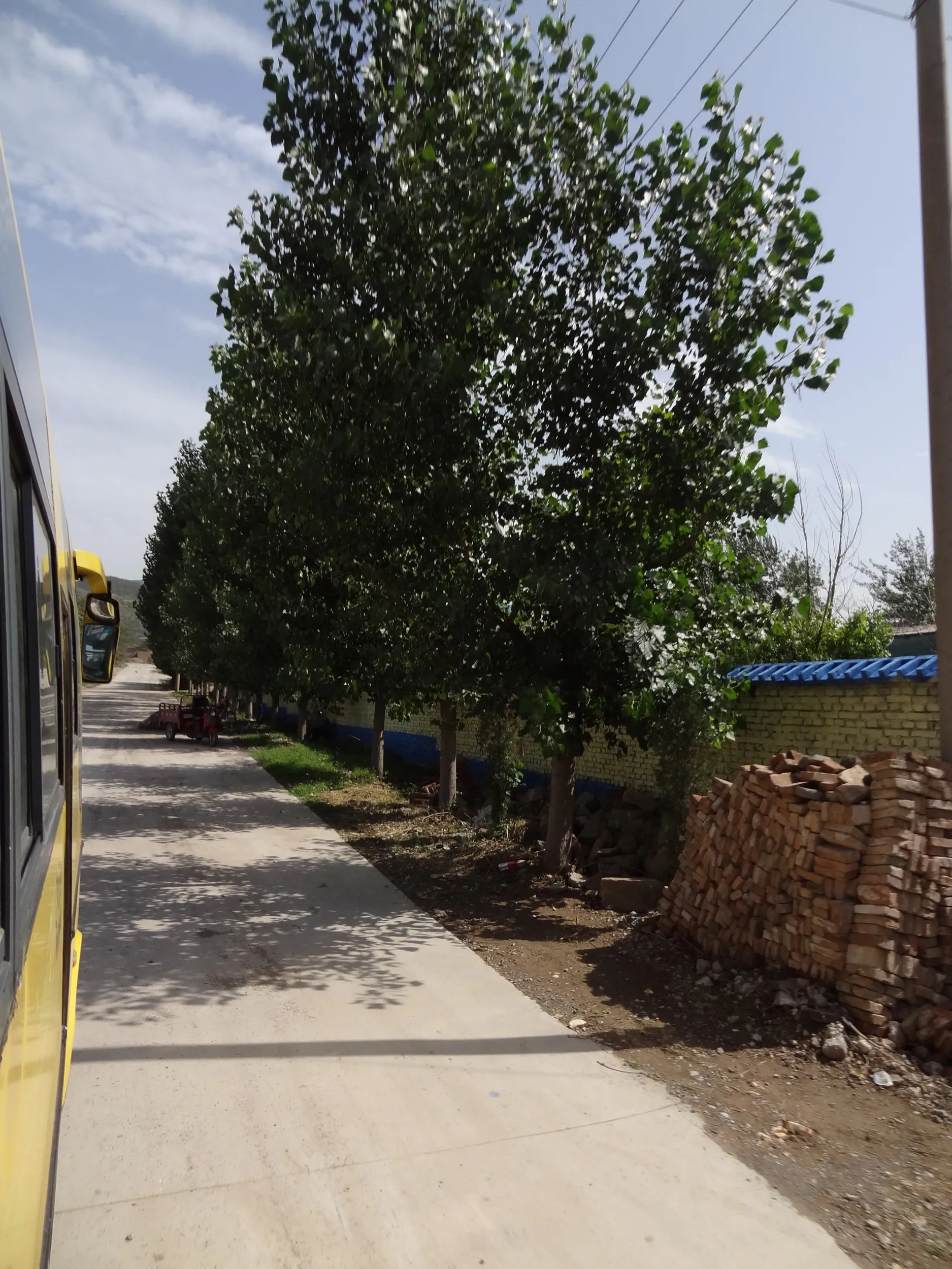 果樹園と畑の風景
