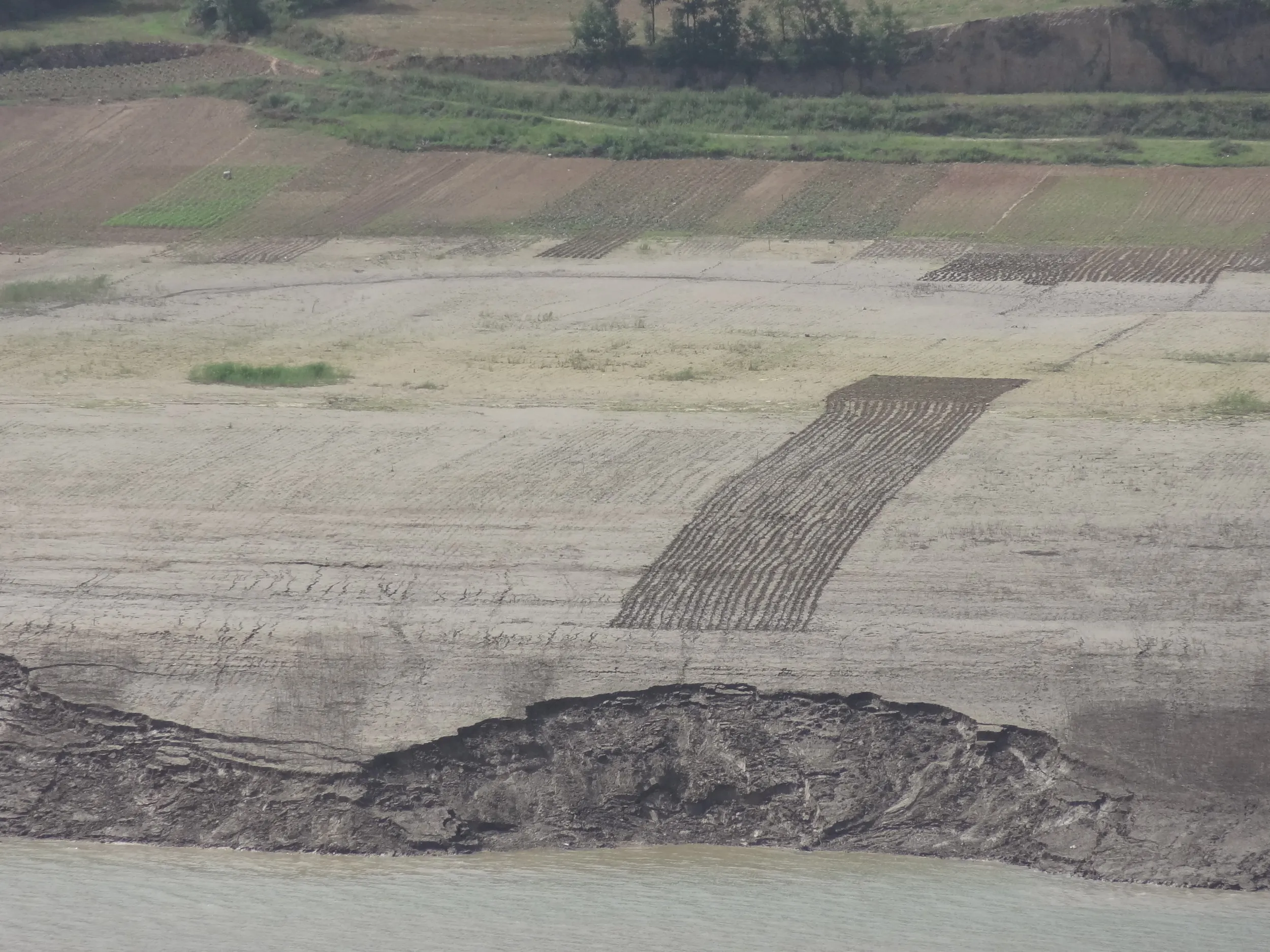 対岸の畑を望遠で撮影