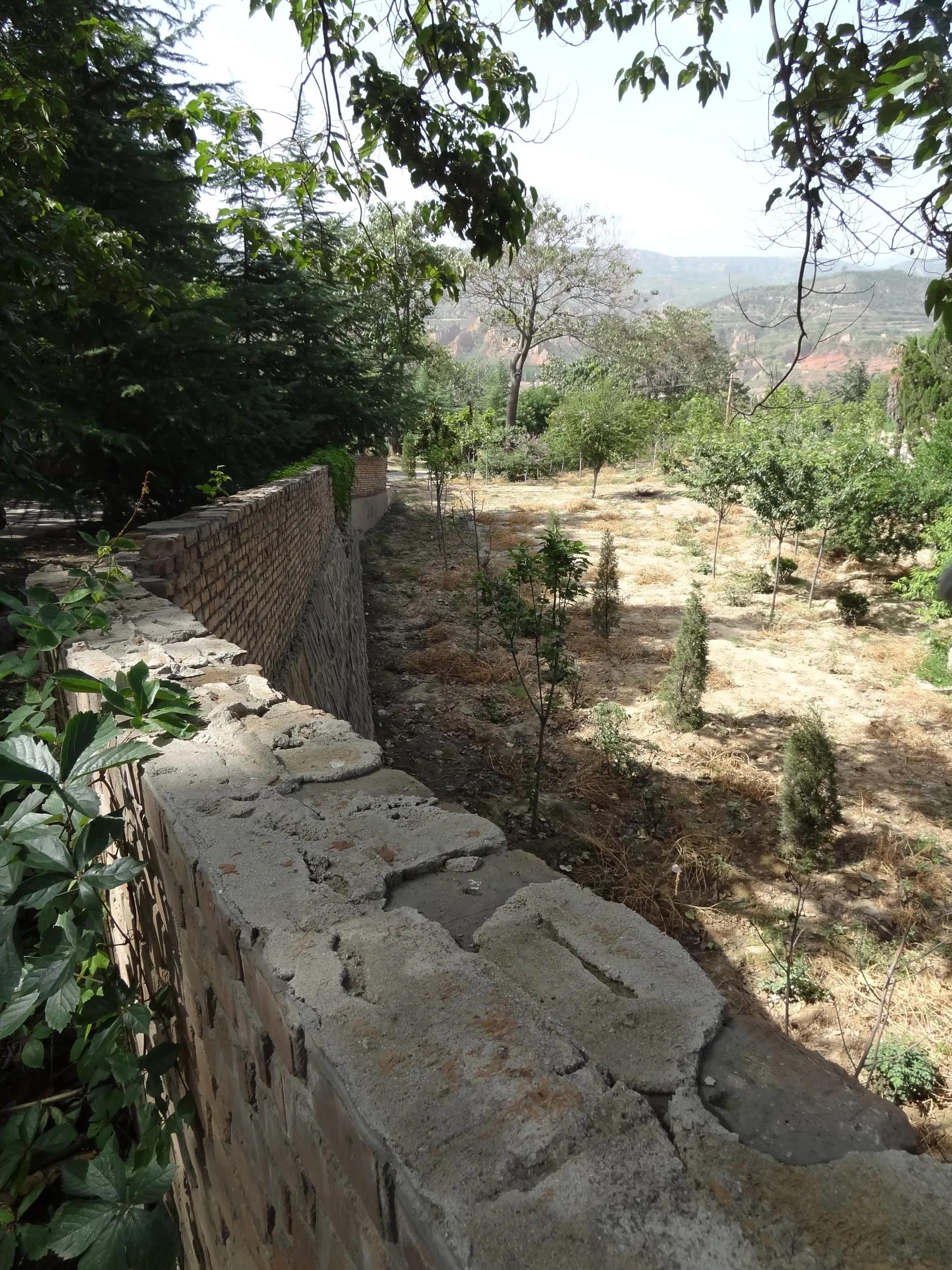 道から撮影した風景