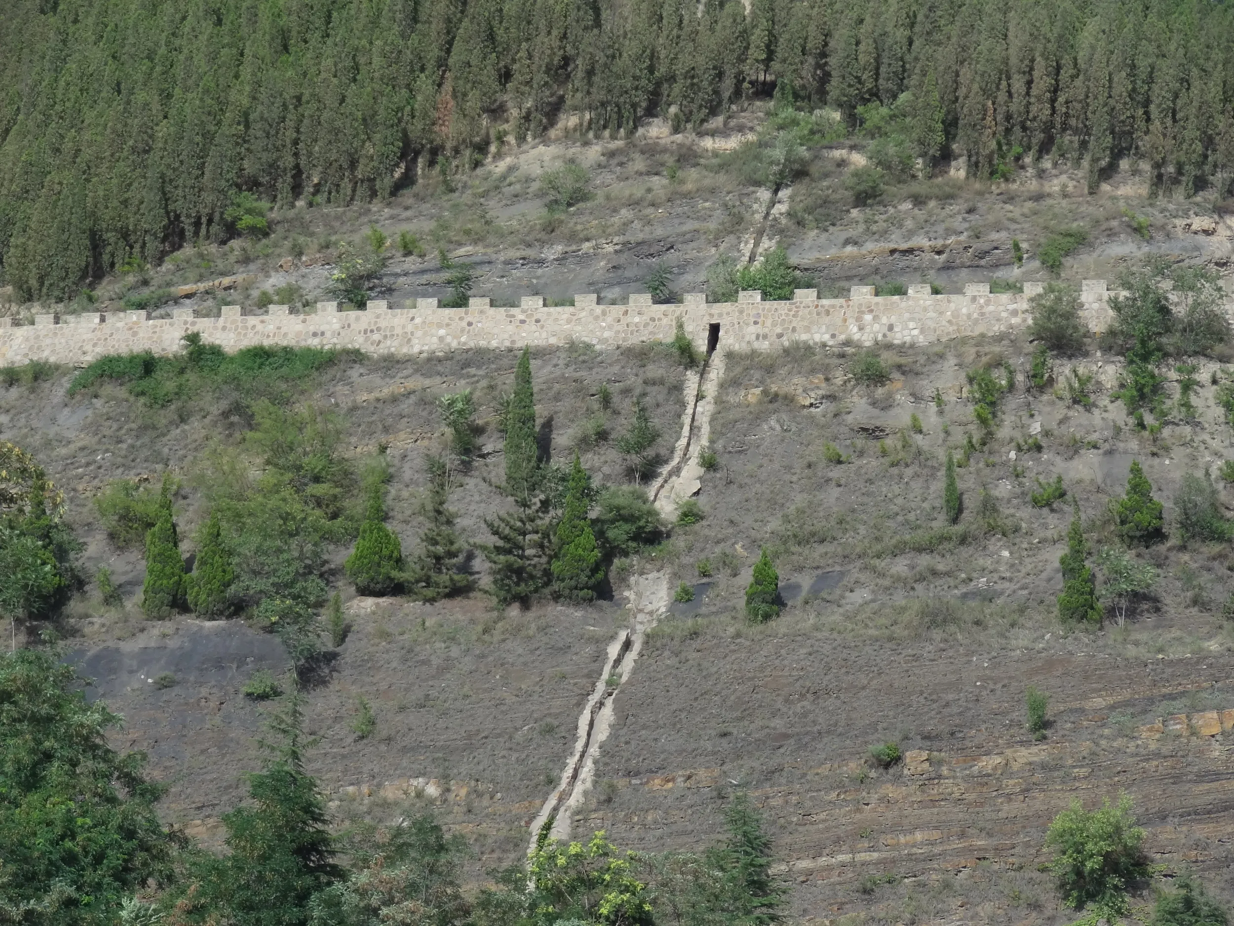 排水路らしき建造物
