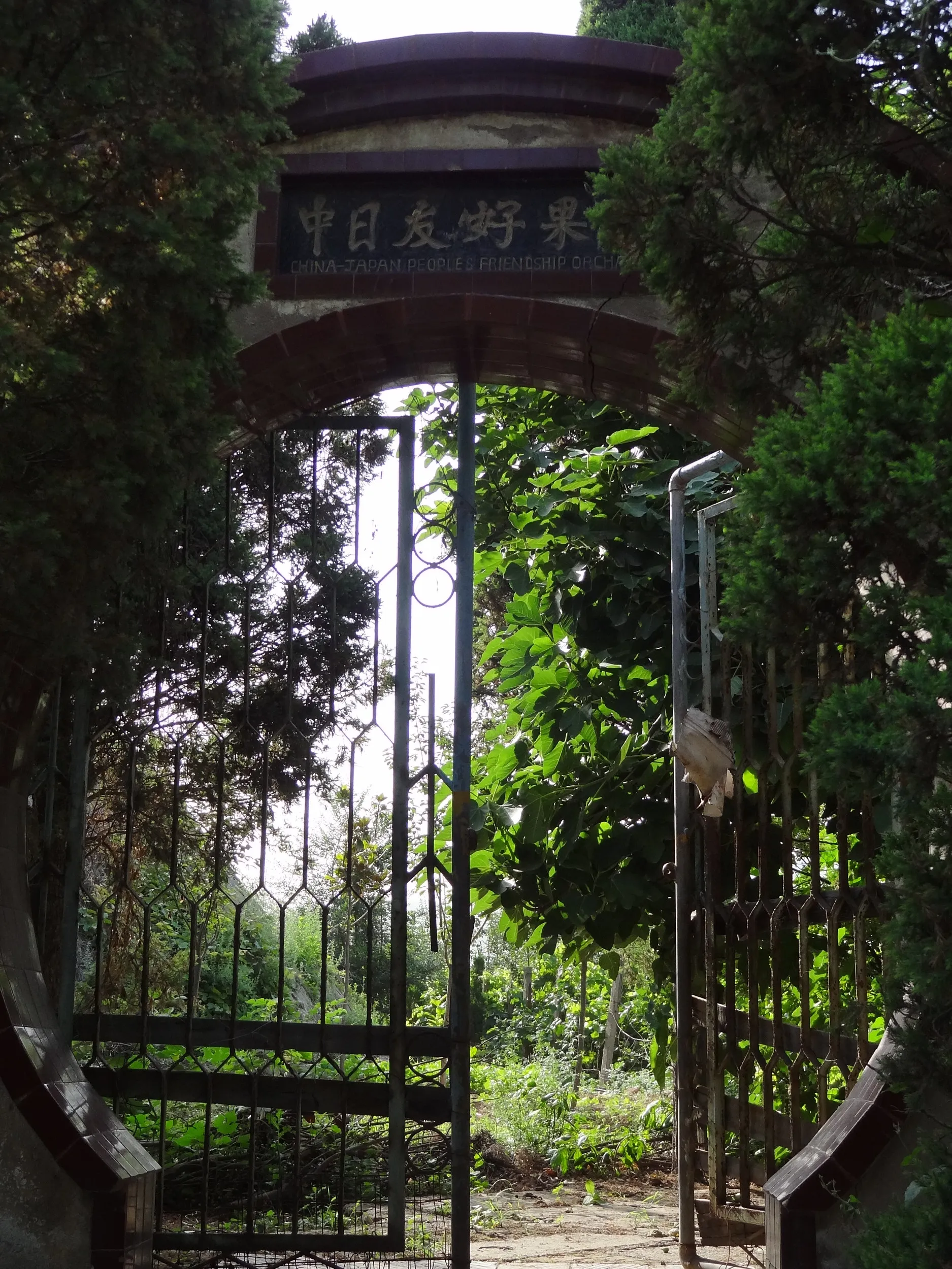 中日友好果樹園の看板