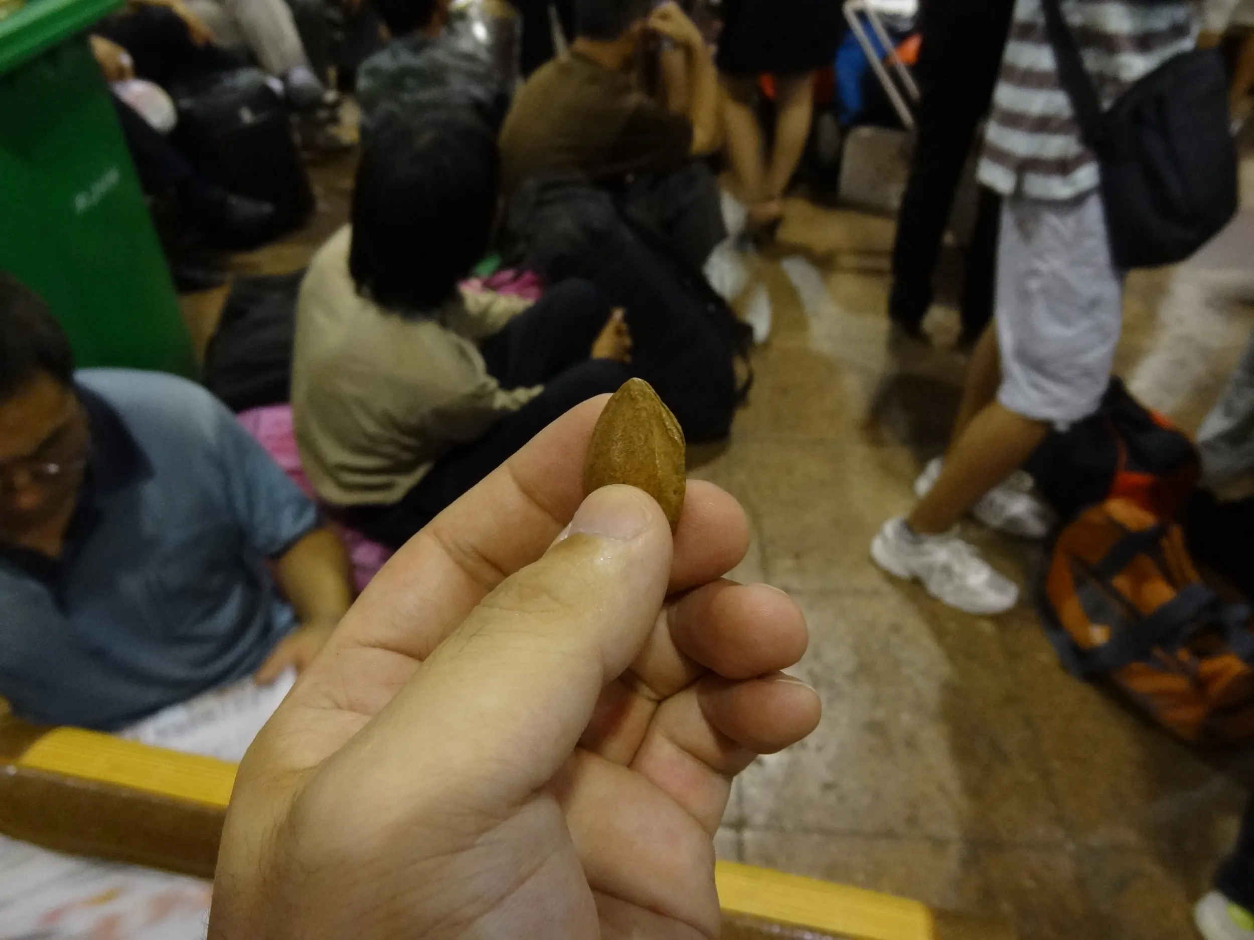 殻付きのアーモンド