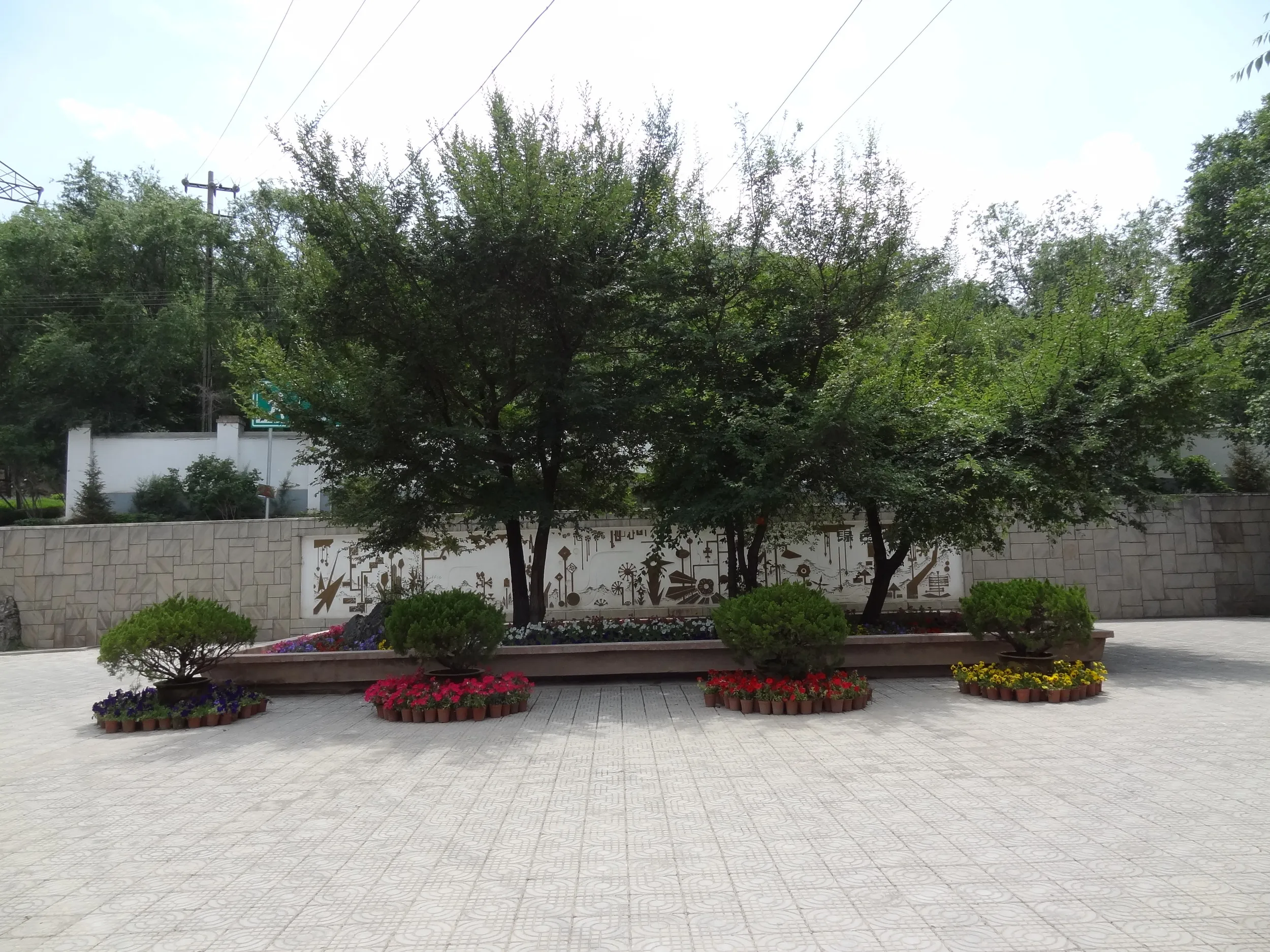 植物園内の様子