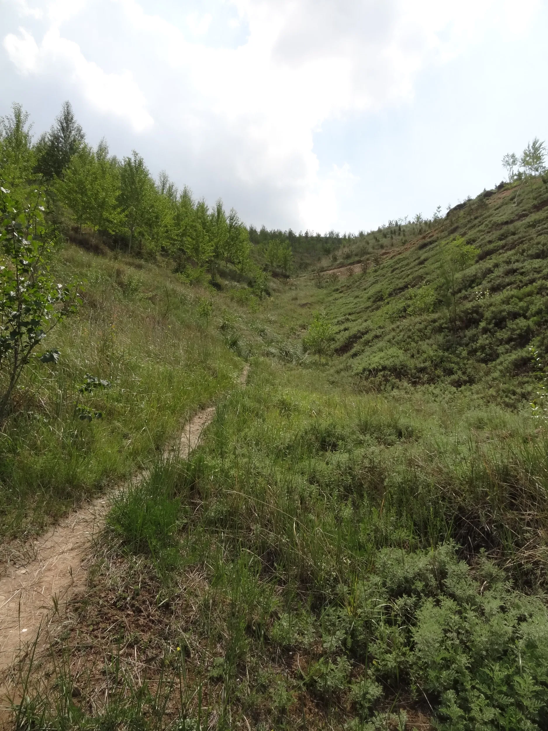 テレビ塔へと続く山道