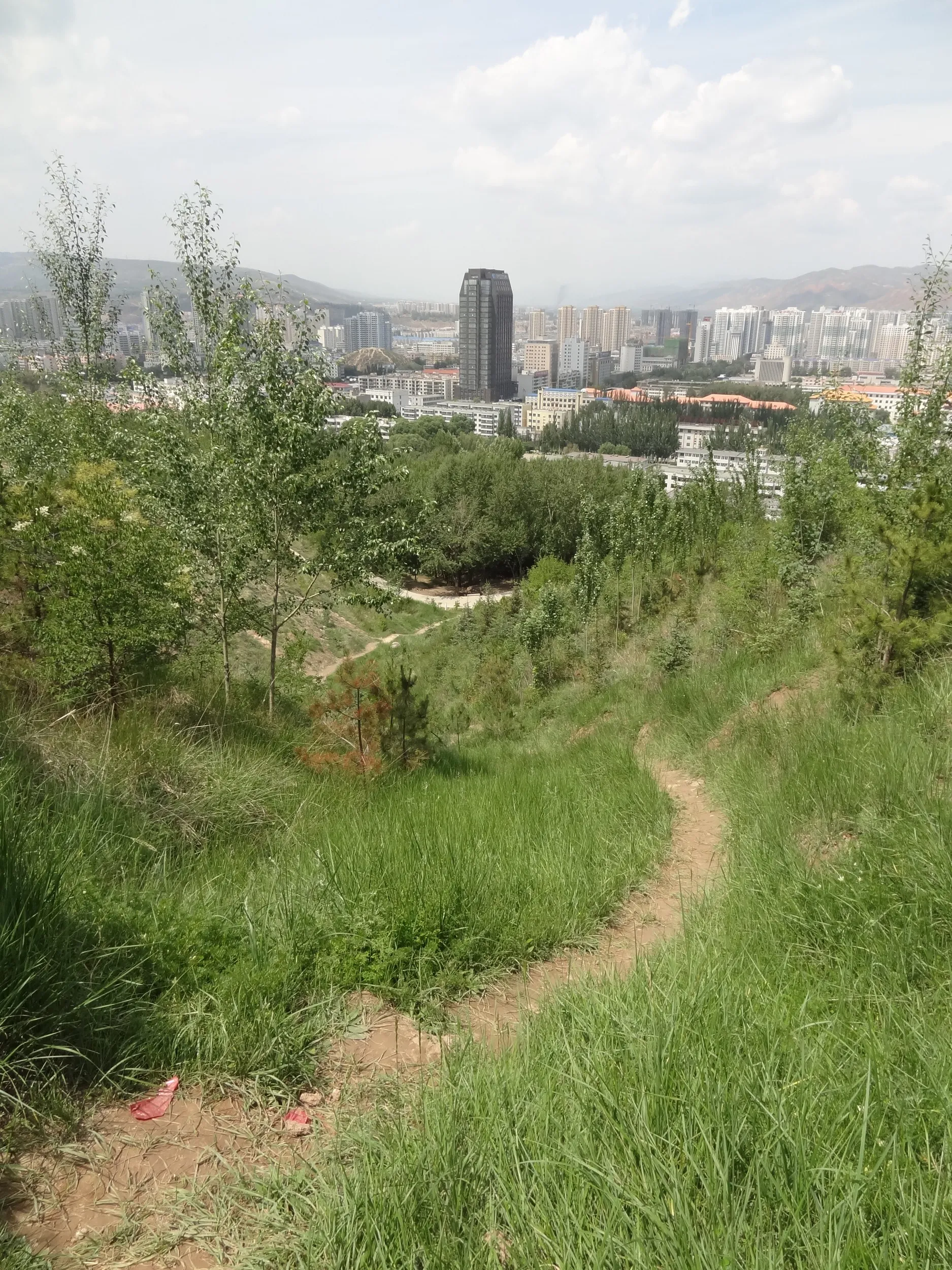 テレビ塔下から植物園と市内を一望