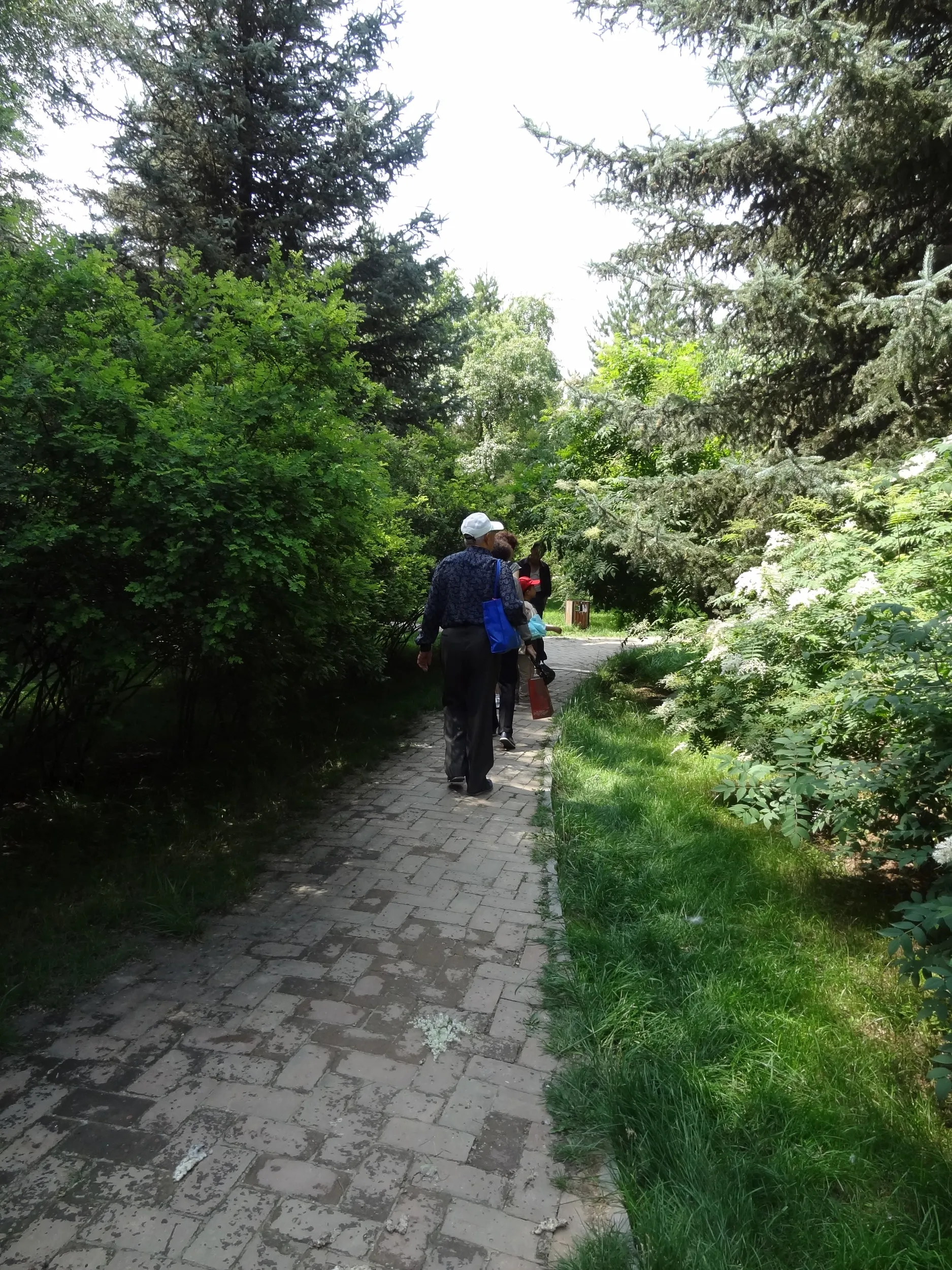 薔薇園の散歩道