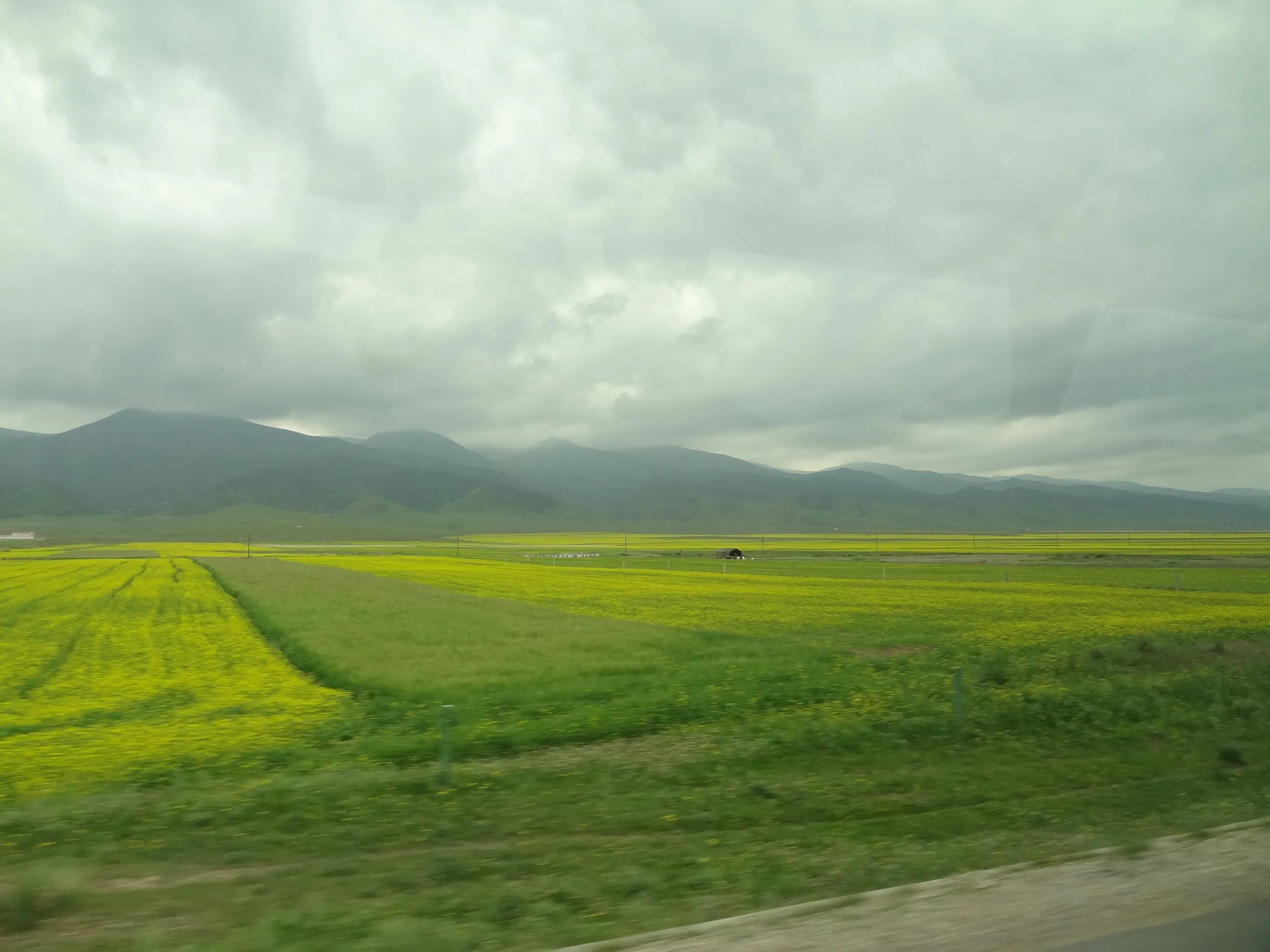 延々と続く菜の花畑と山