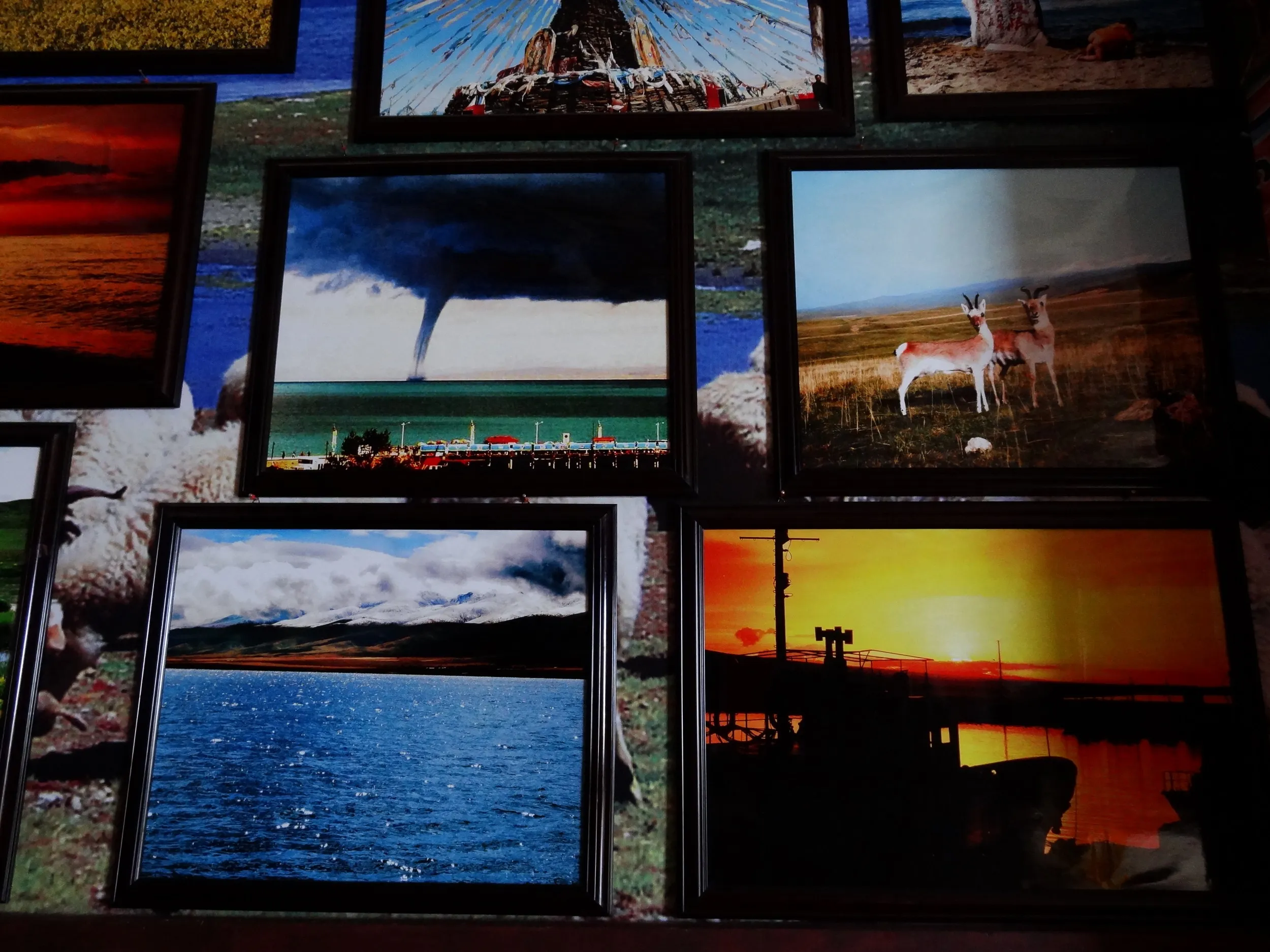 青海湖の風景写真
