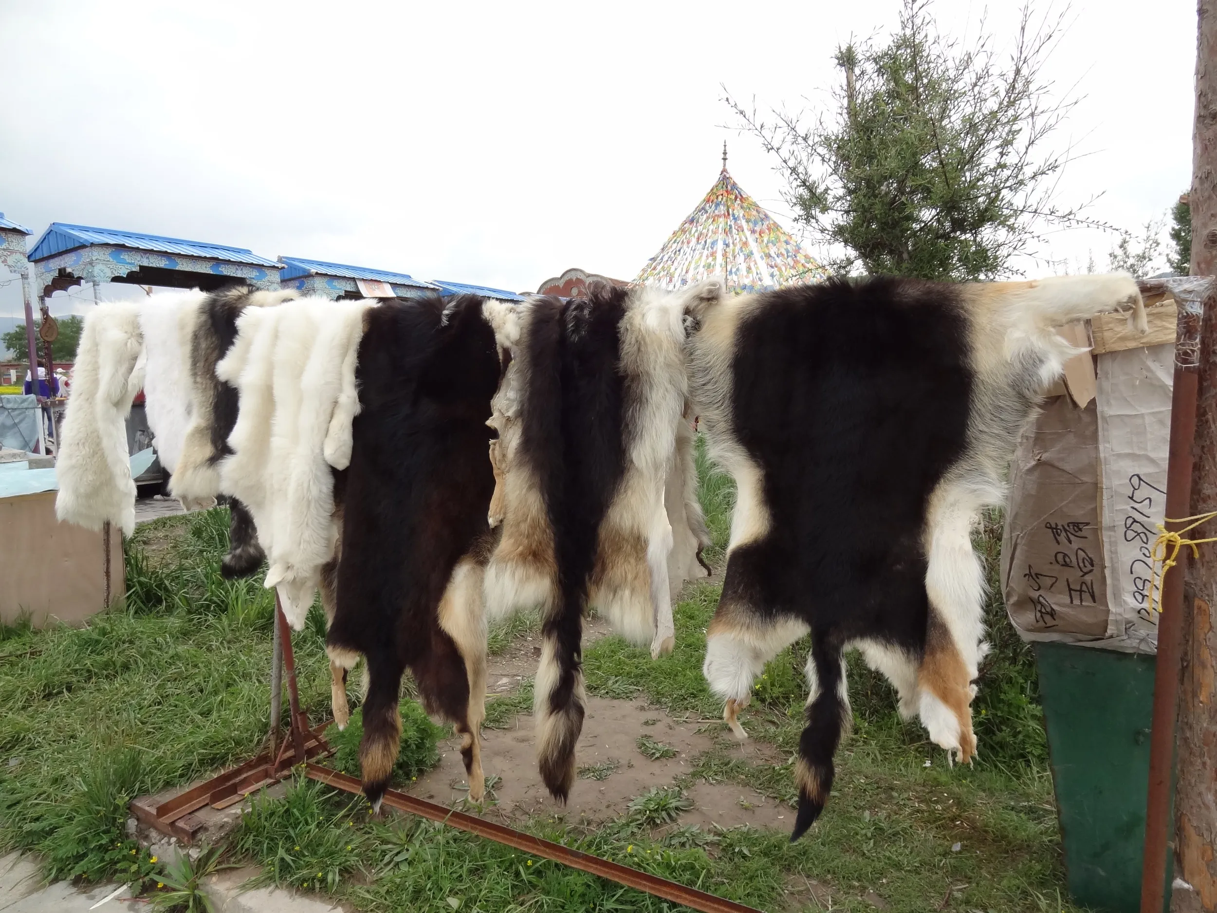 販売されている毛皮