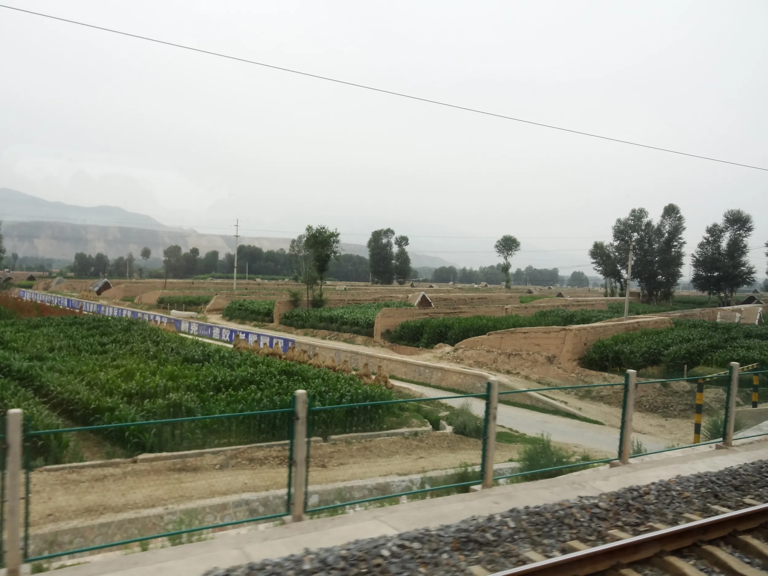 黄土大地と畑が広がる車窓