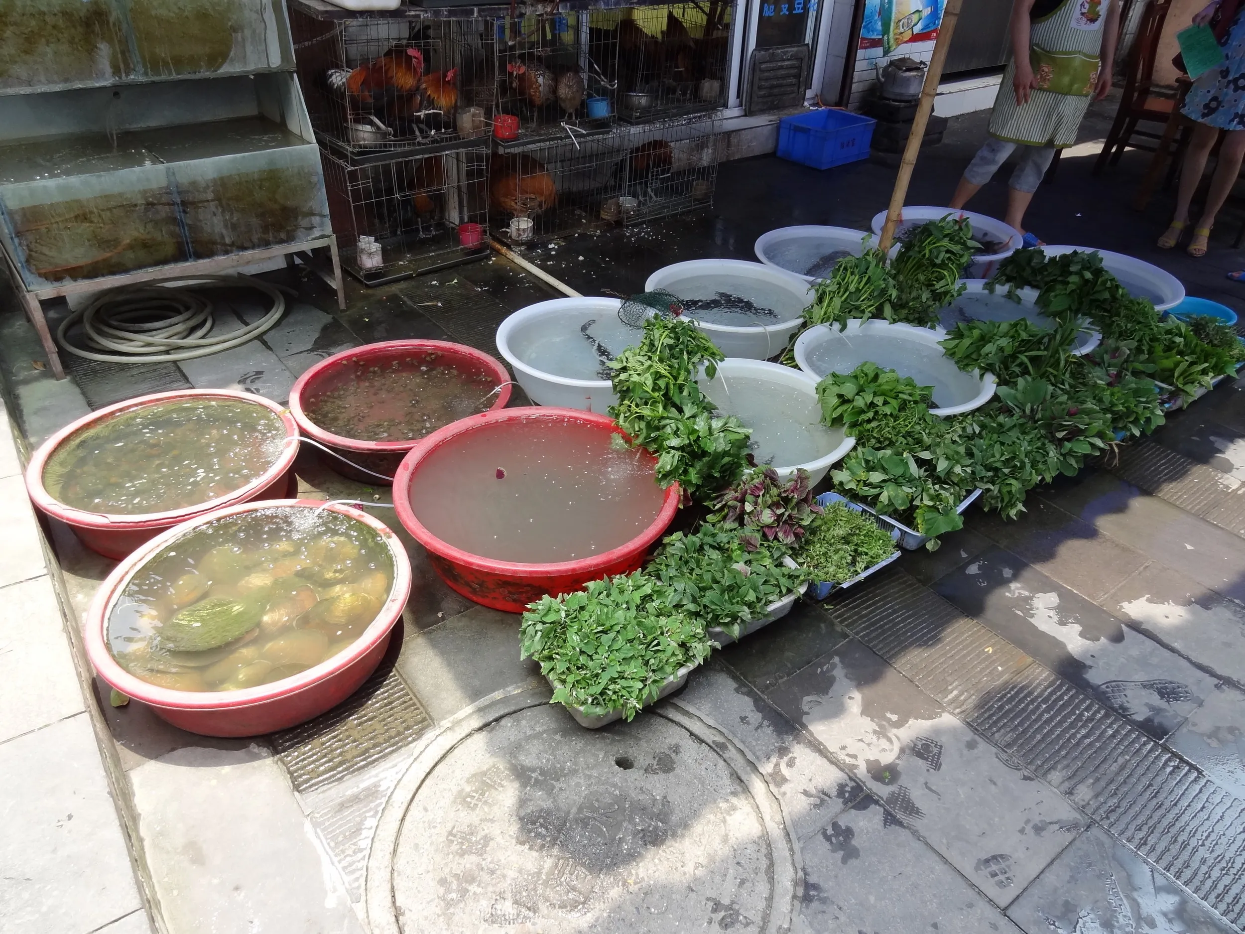 食堂の食材の鶏