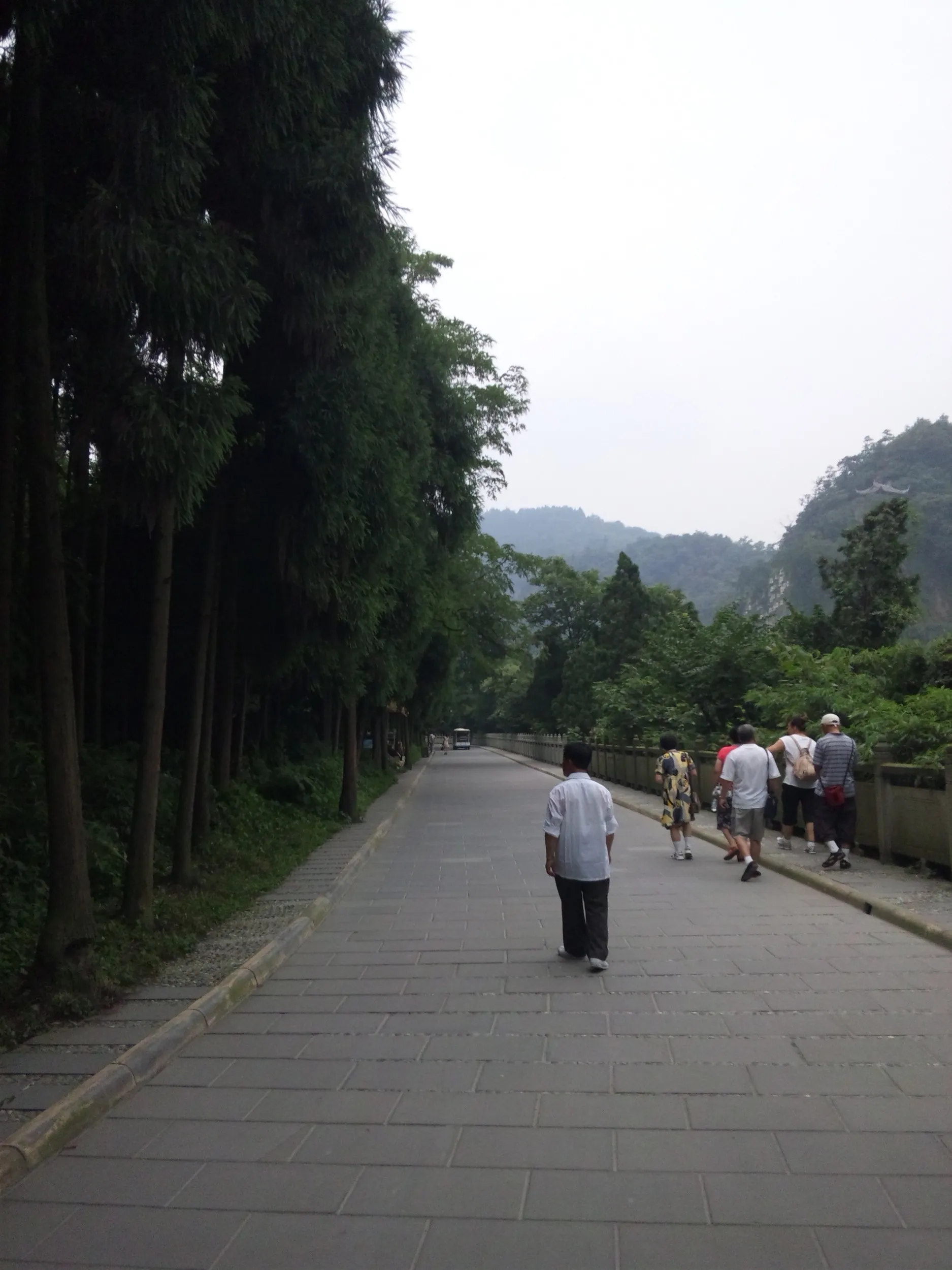 中州を魚の口目指して進む