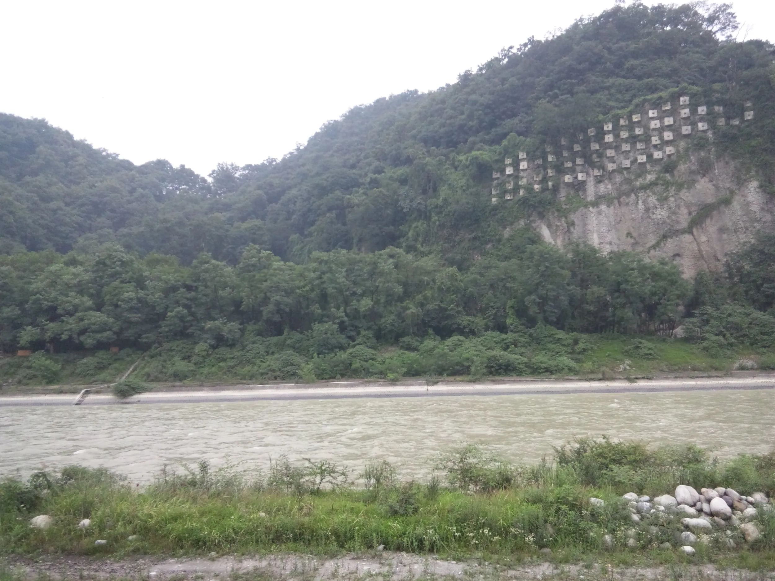 岷江と川岸の風景