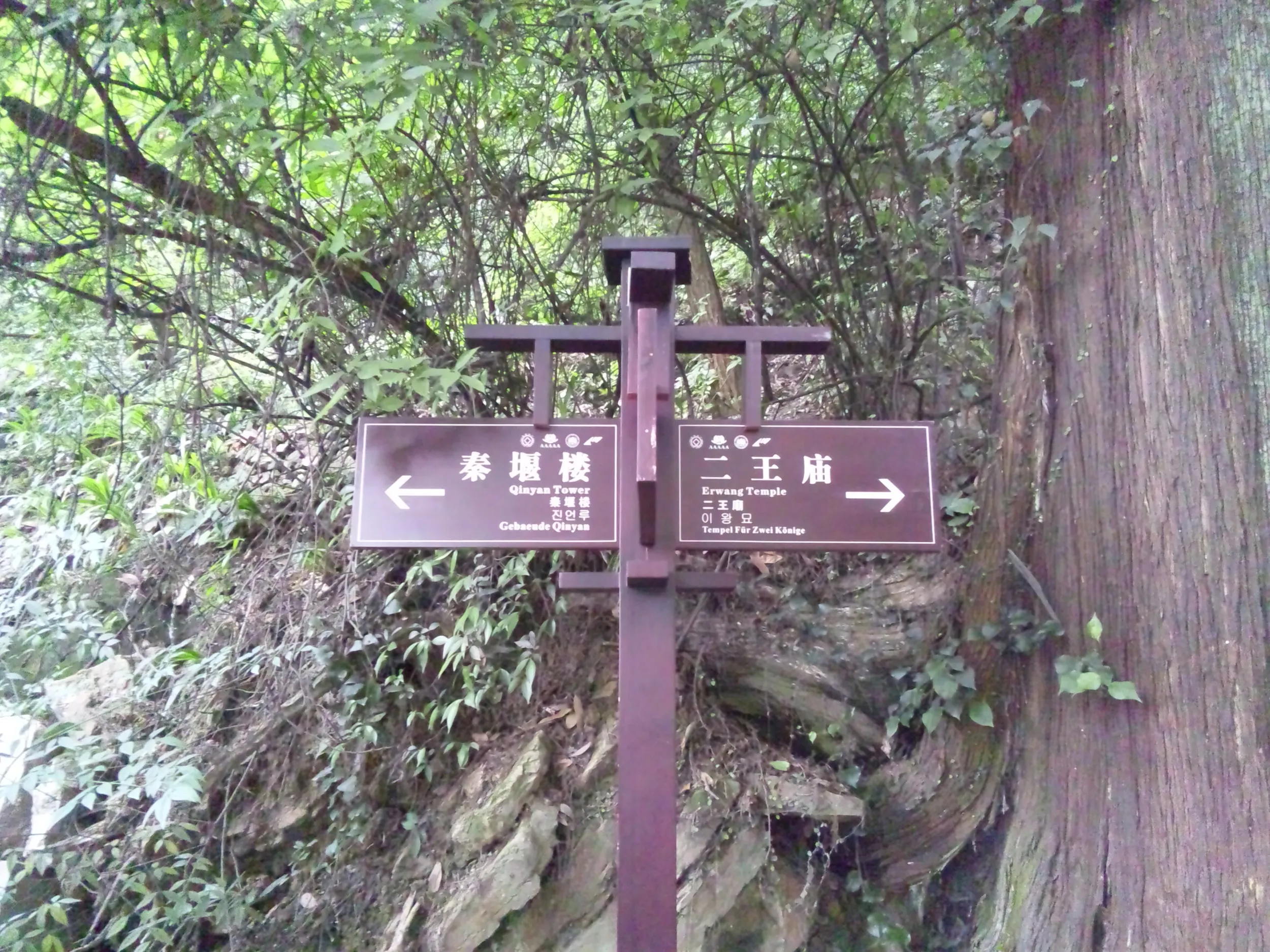 秦堰楼と二王廟の分かれ道